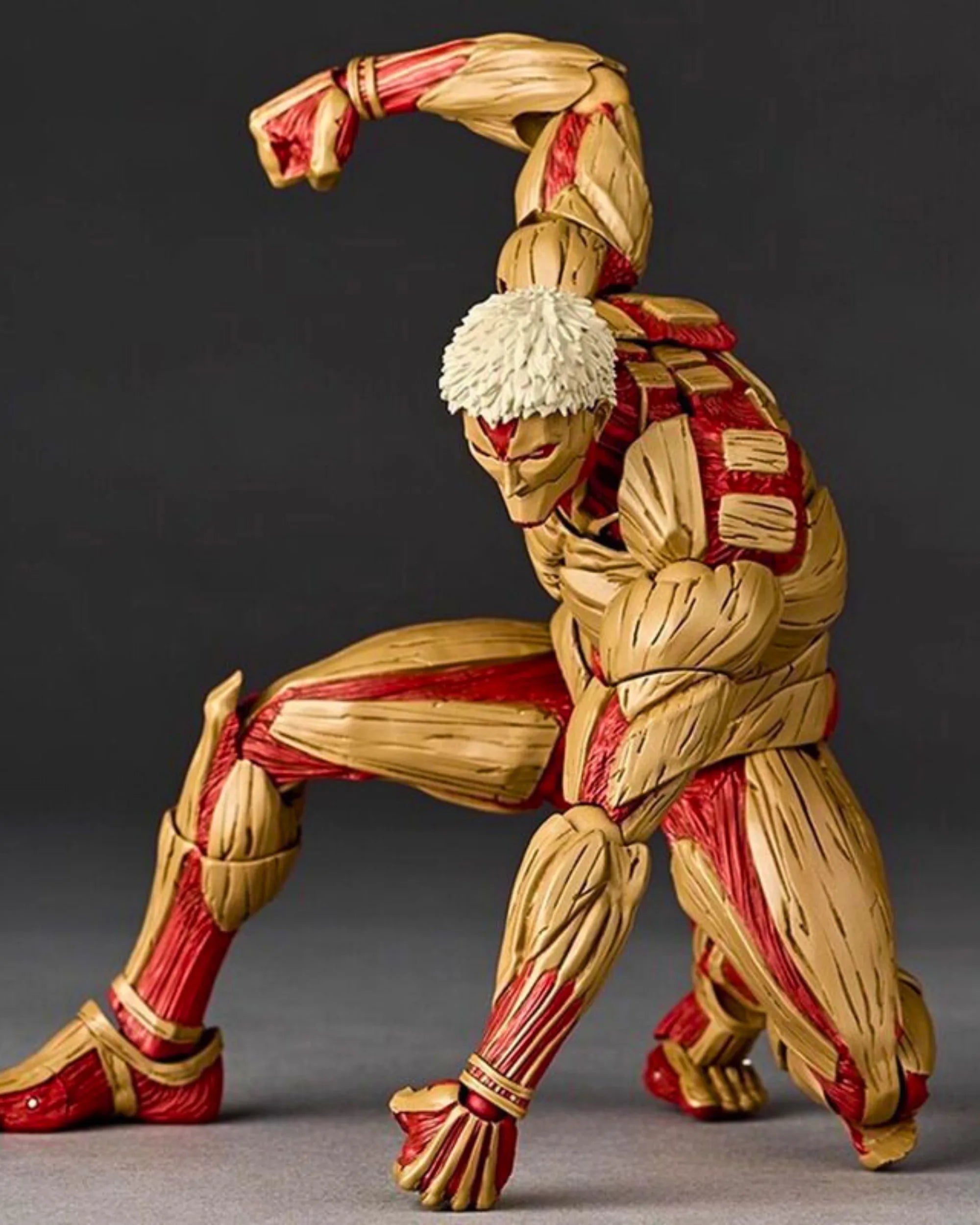 Amazing Yamaguchi Armored Titan-5 | PHAIGINA