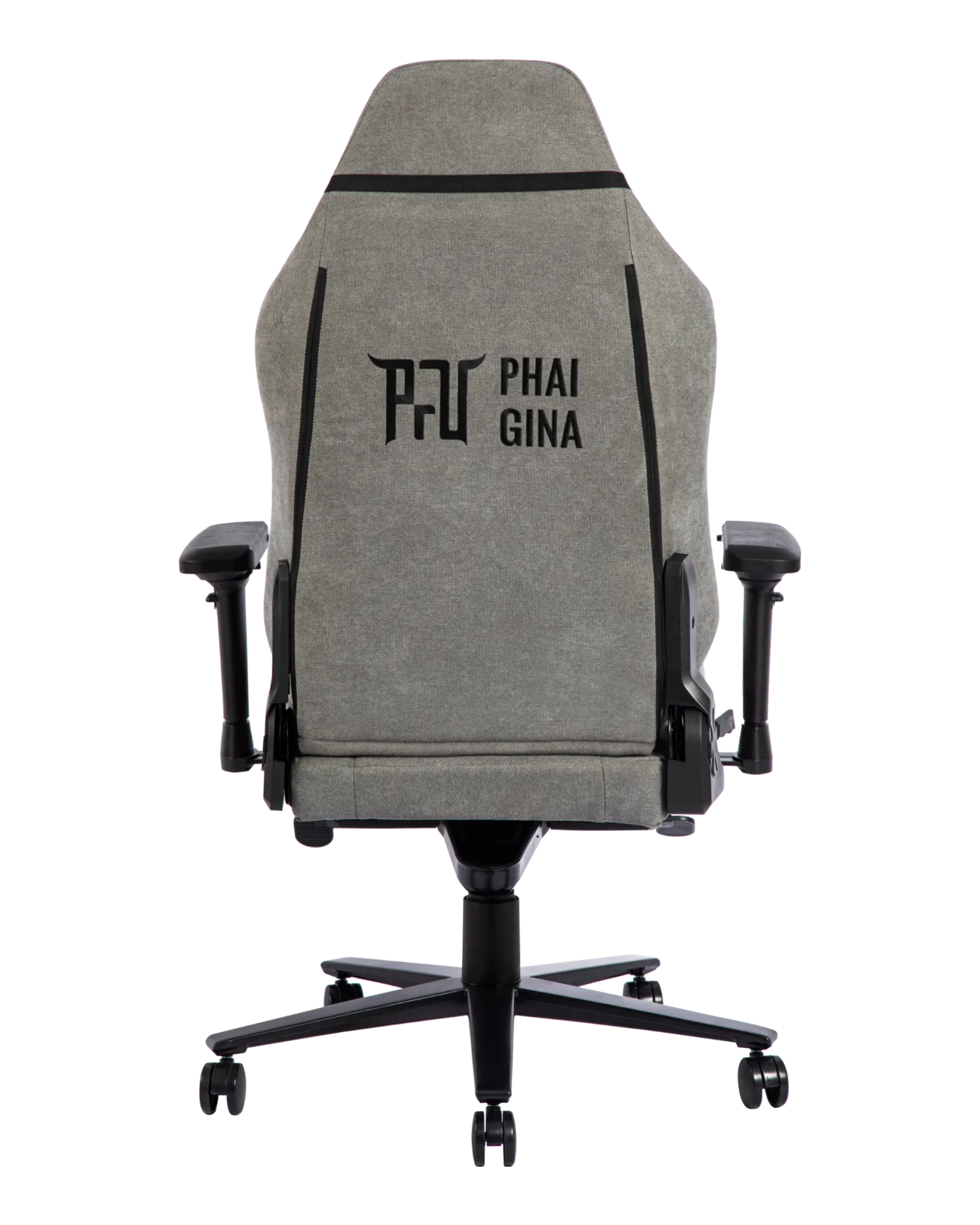 Gray-4 | PHAIGINA