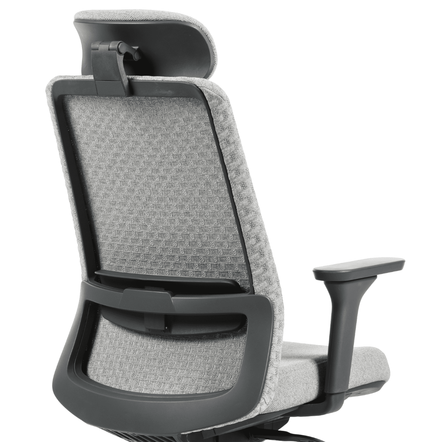 Lumbar Support Banner - PHAIGINA