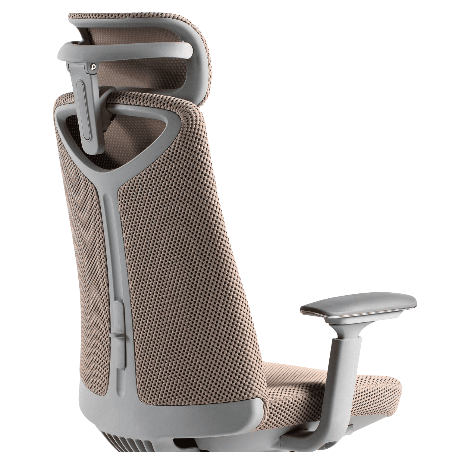 Ergonomic Lumbar Support Banner - PHAIGINA