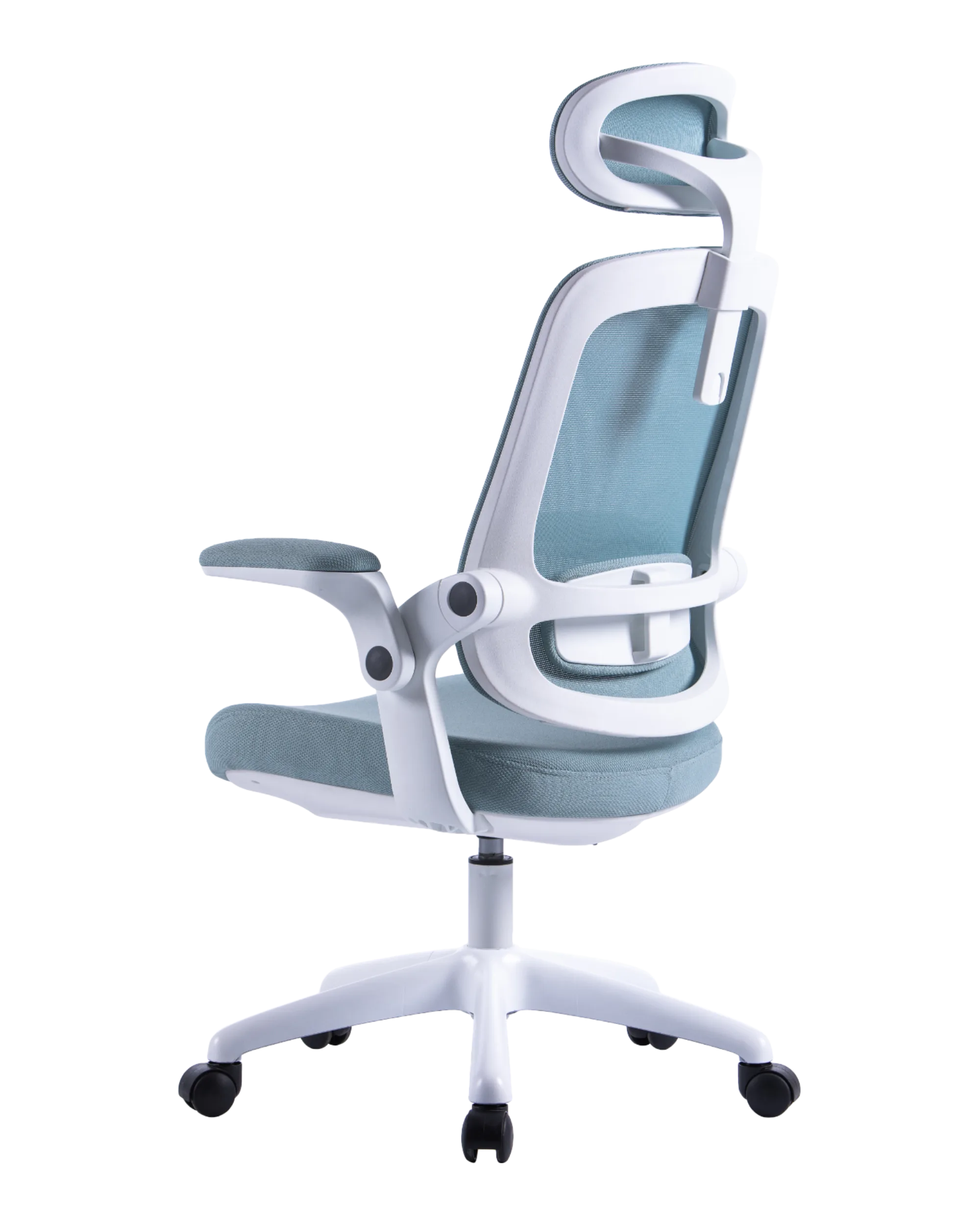 PM01 Sky Blue-4 | PHAIGINA