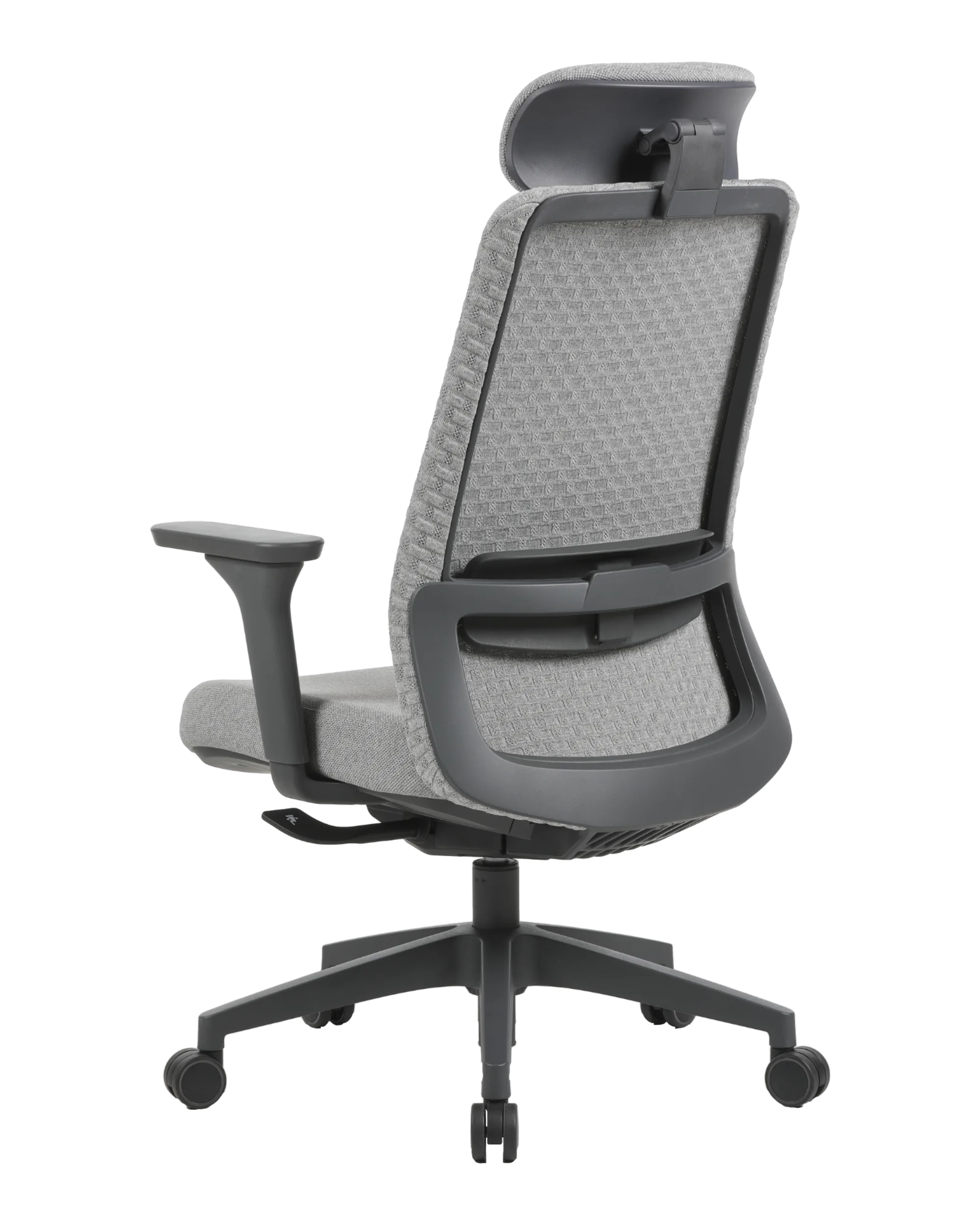 PMF01 GRAY-4 | PHAIGINA