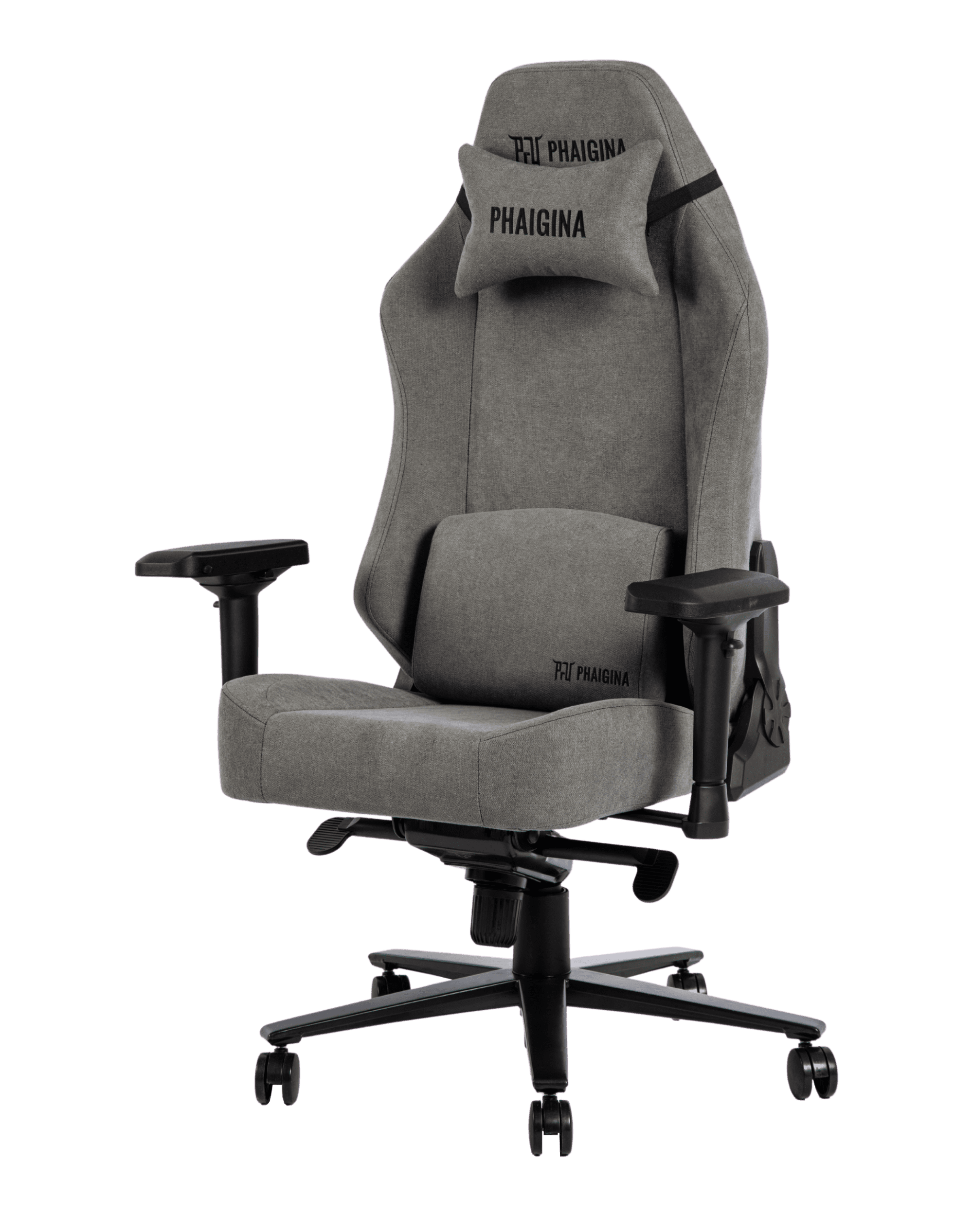 PGM01 Gray-2 - PHAIGINA