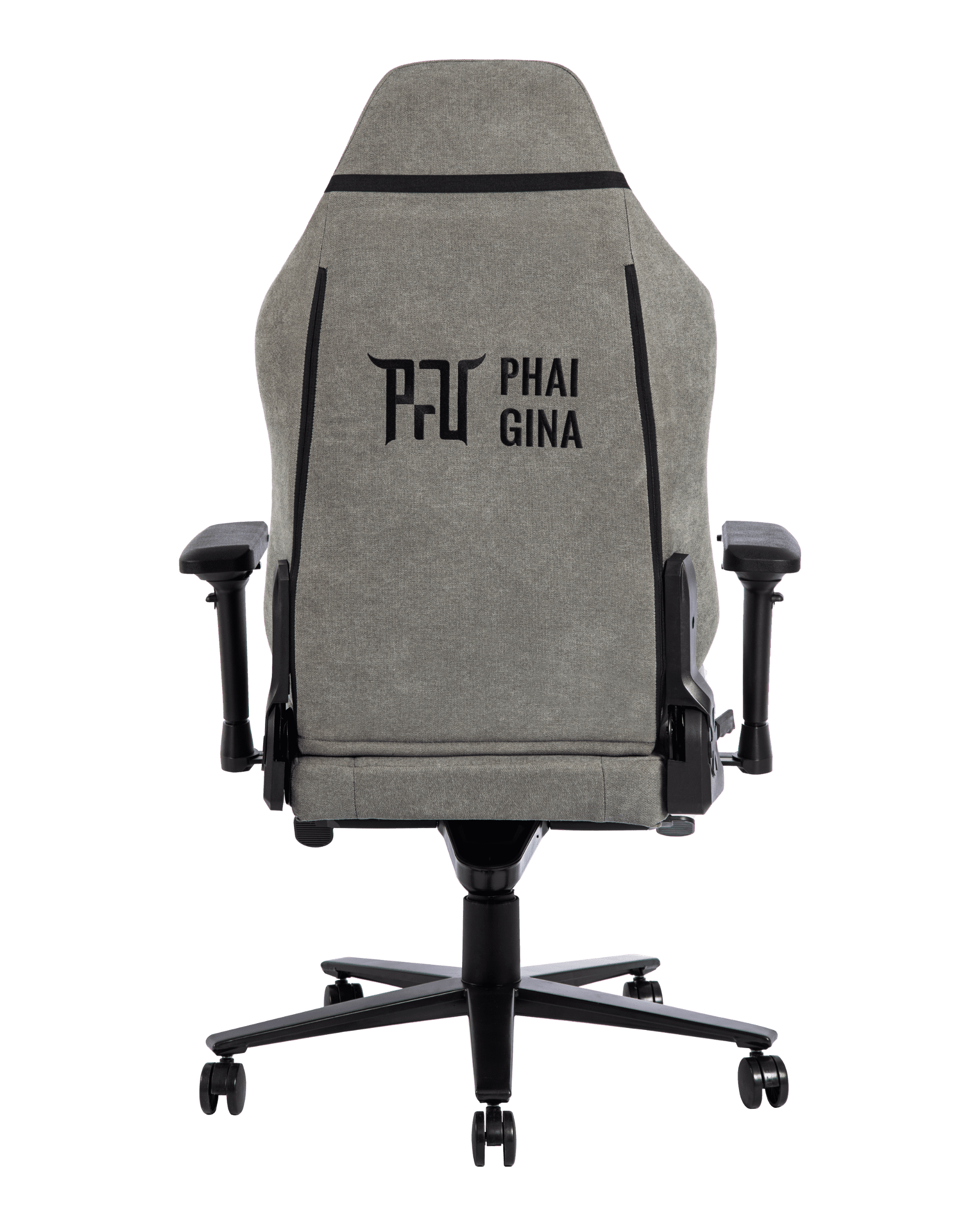 PGM01 Gray-4 - PHAIGINA