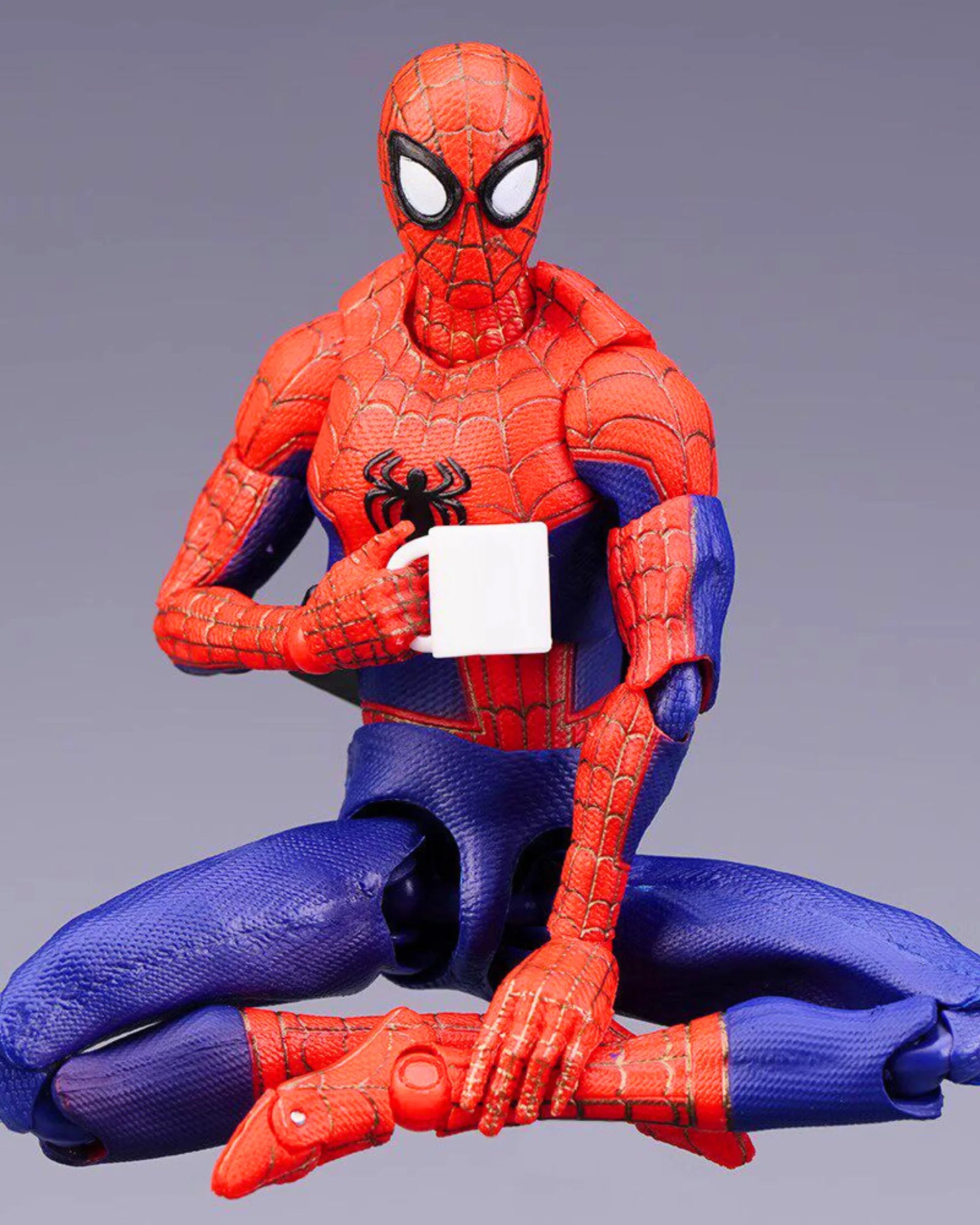 SHF Peter B Parker into the Spider Verse-7 | PHAIGINA