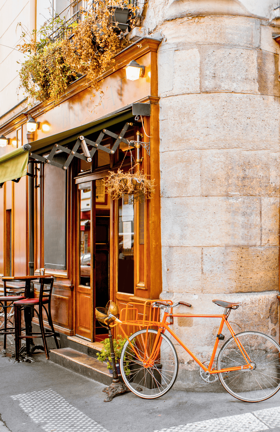 All Products Banner - PHAIGINA