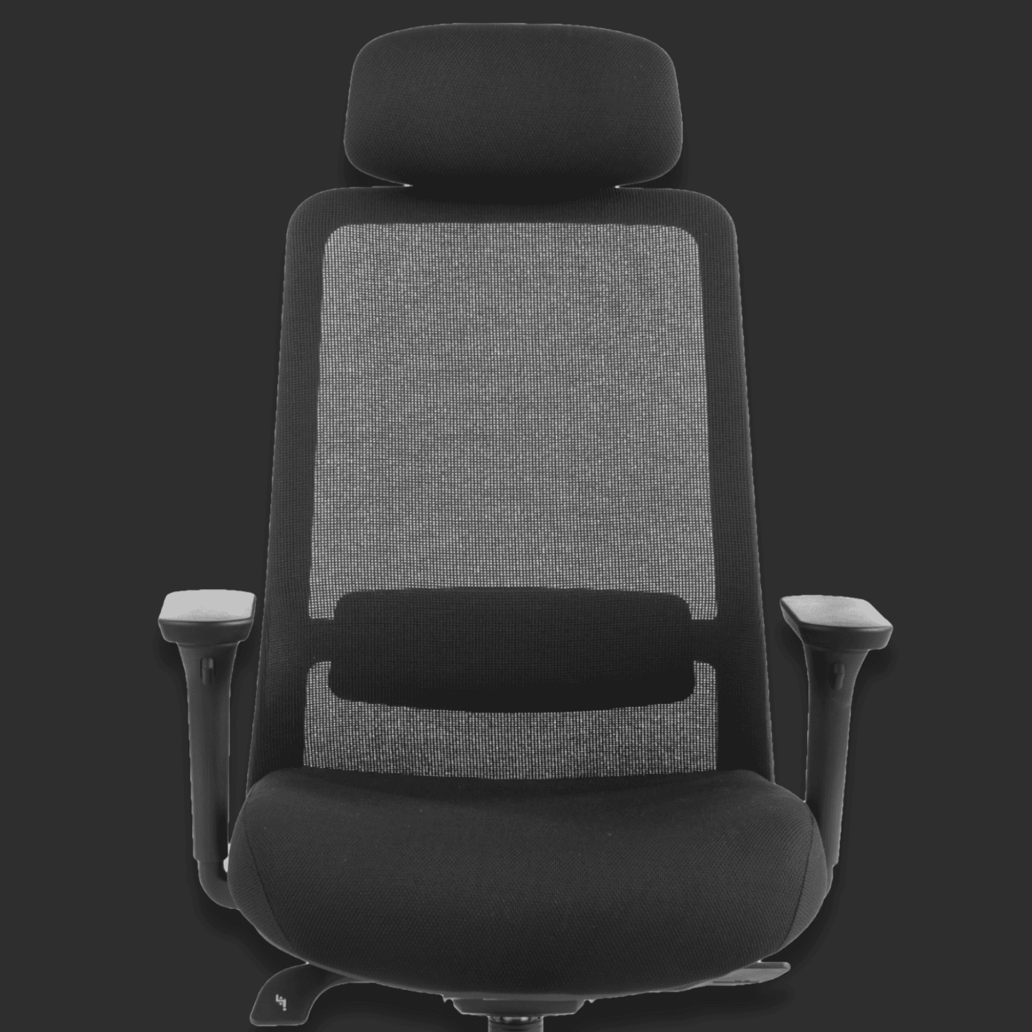 Stealth Black Banner - PHAIGINA