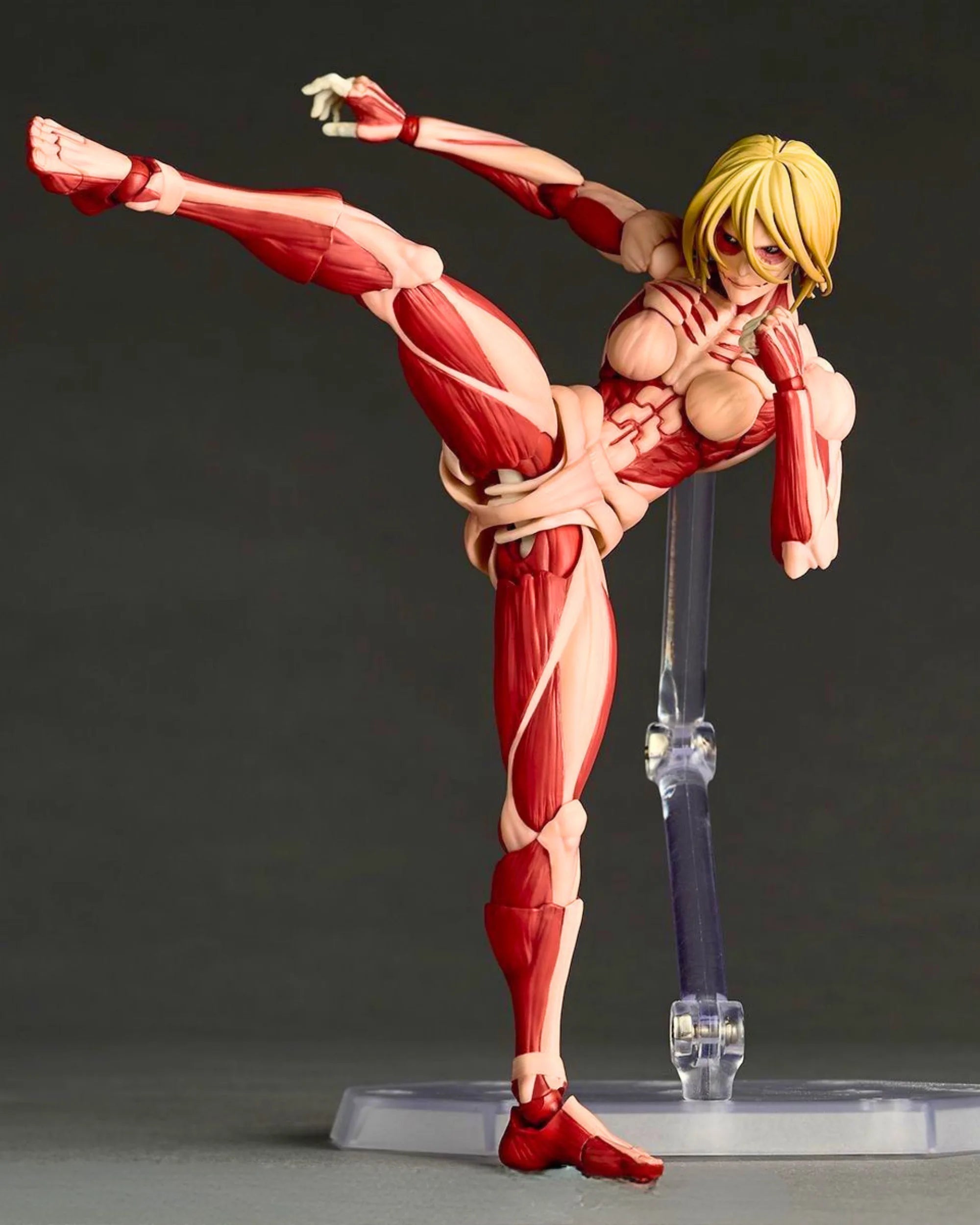 Amazing Yamaguchi Female Titan-3 | PHAIGINA