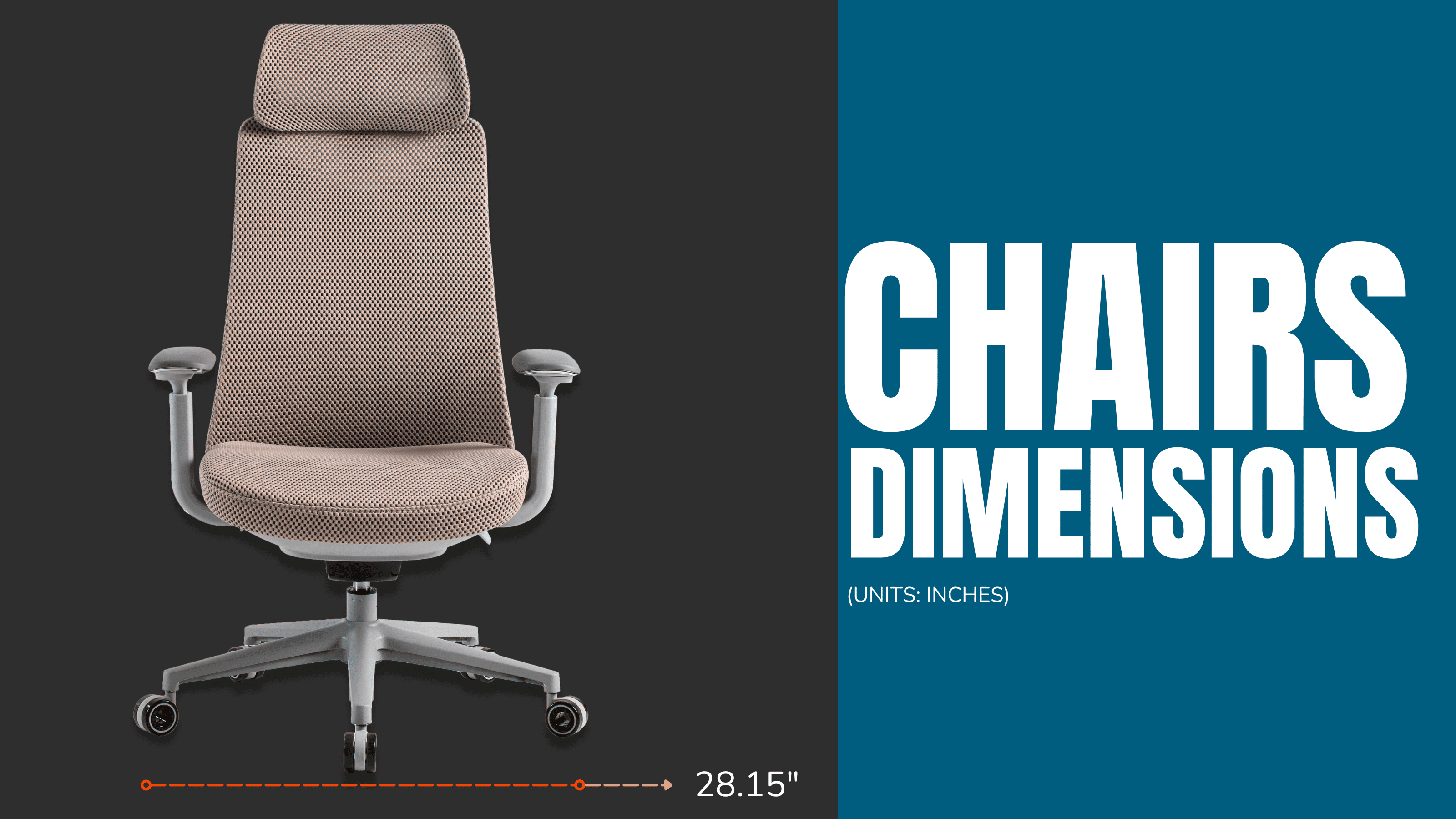 PMM02 Dimensions PC Banner-1 - PHAIGINA