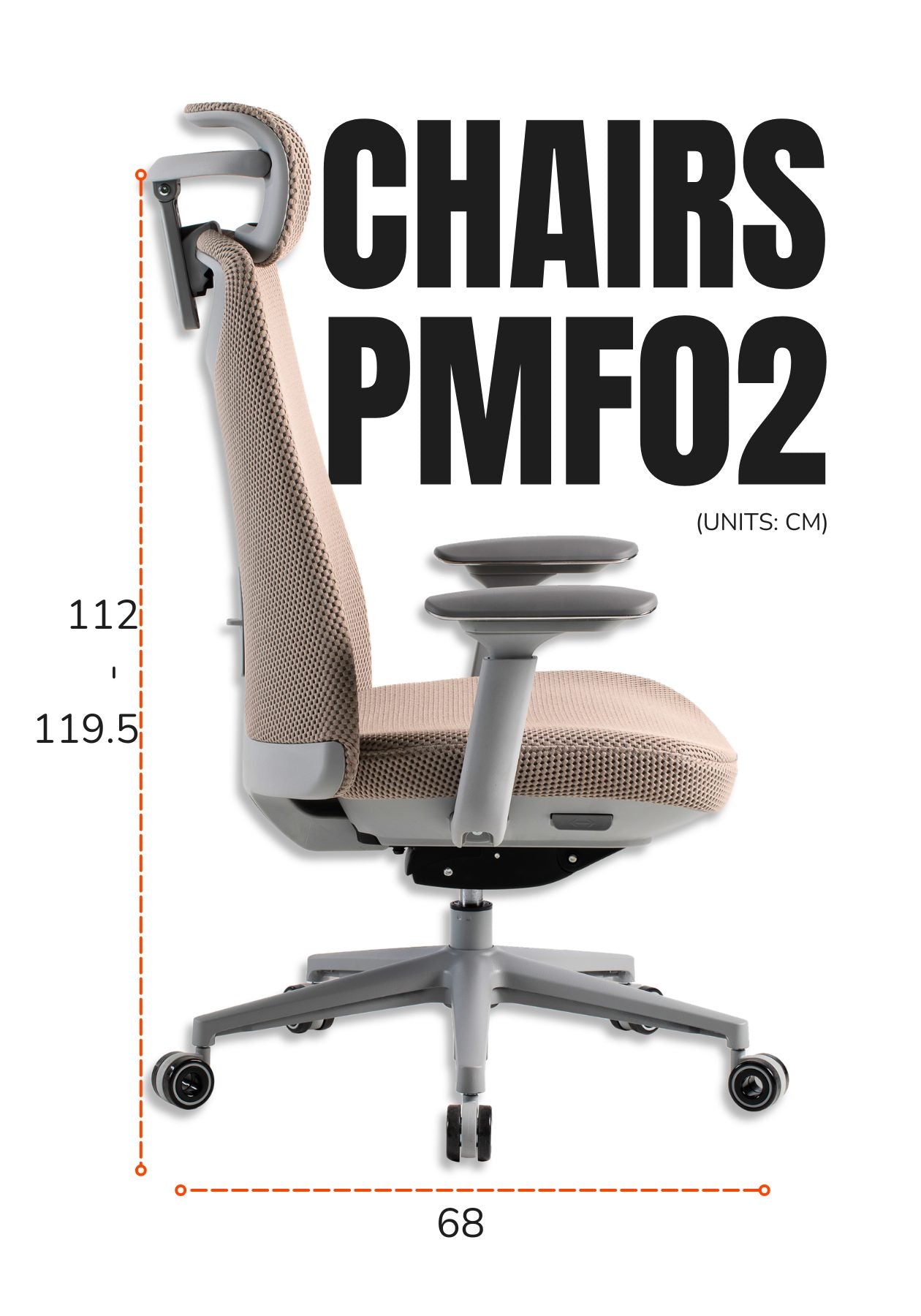 Chair Dimensions M Version-2 | PHAIGINA
