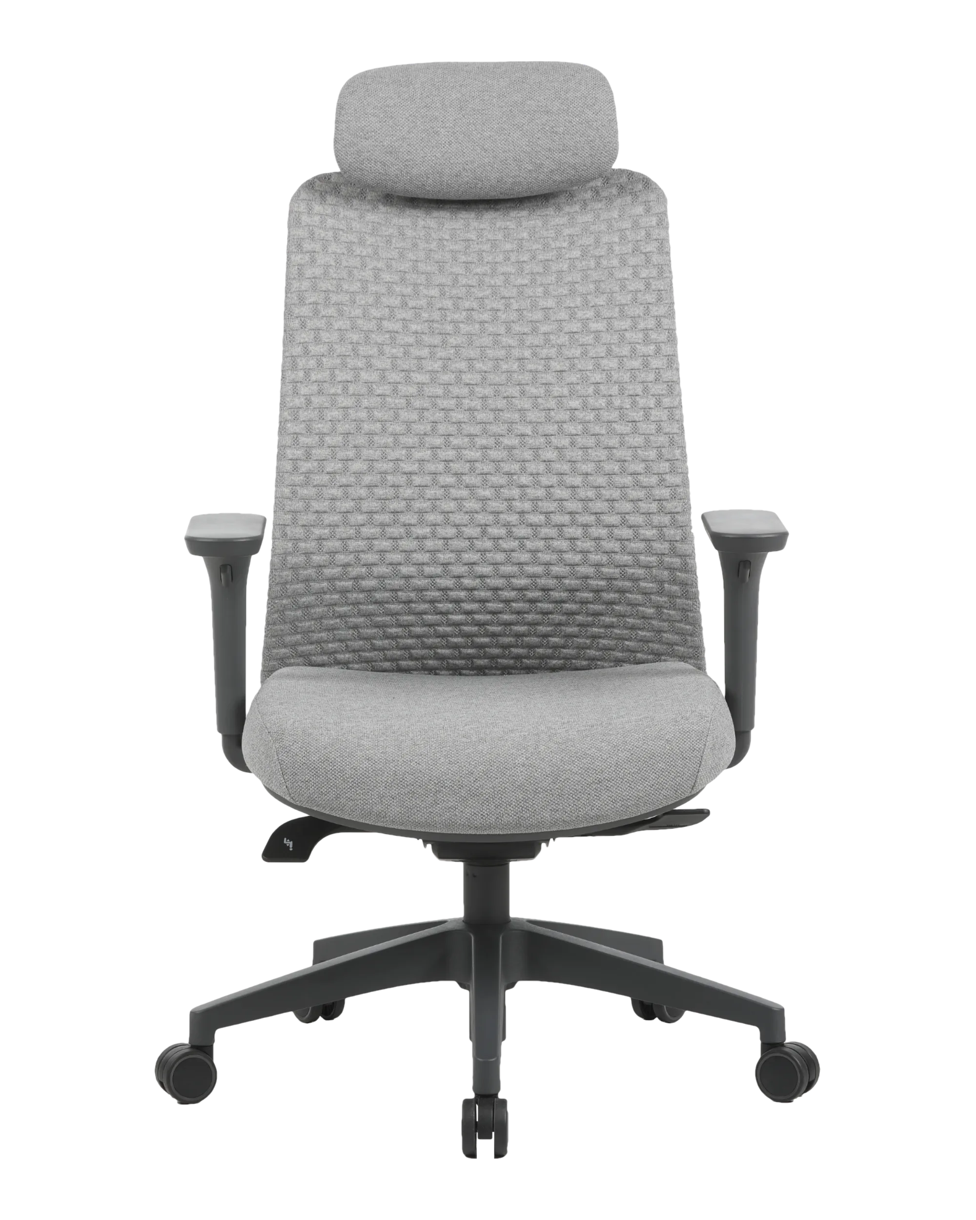 PMF01 GRAY-2 | PHAIGINA