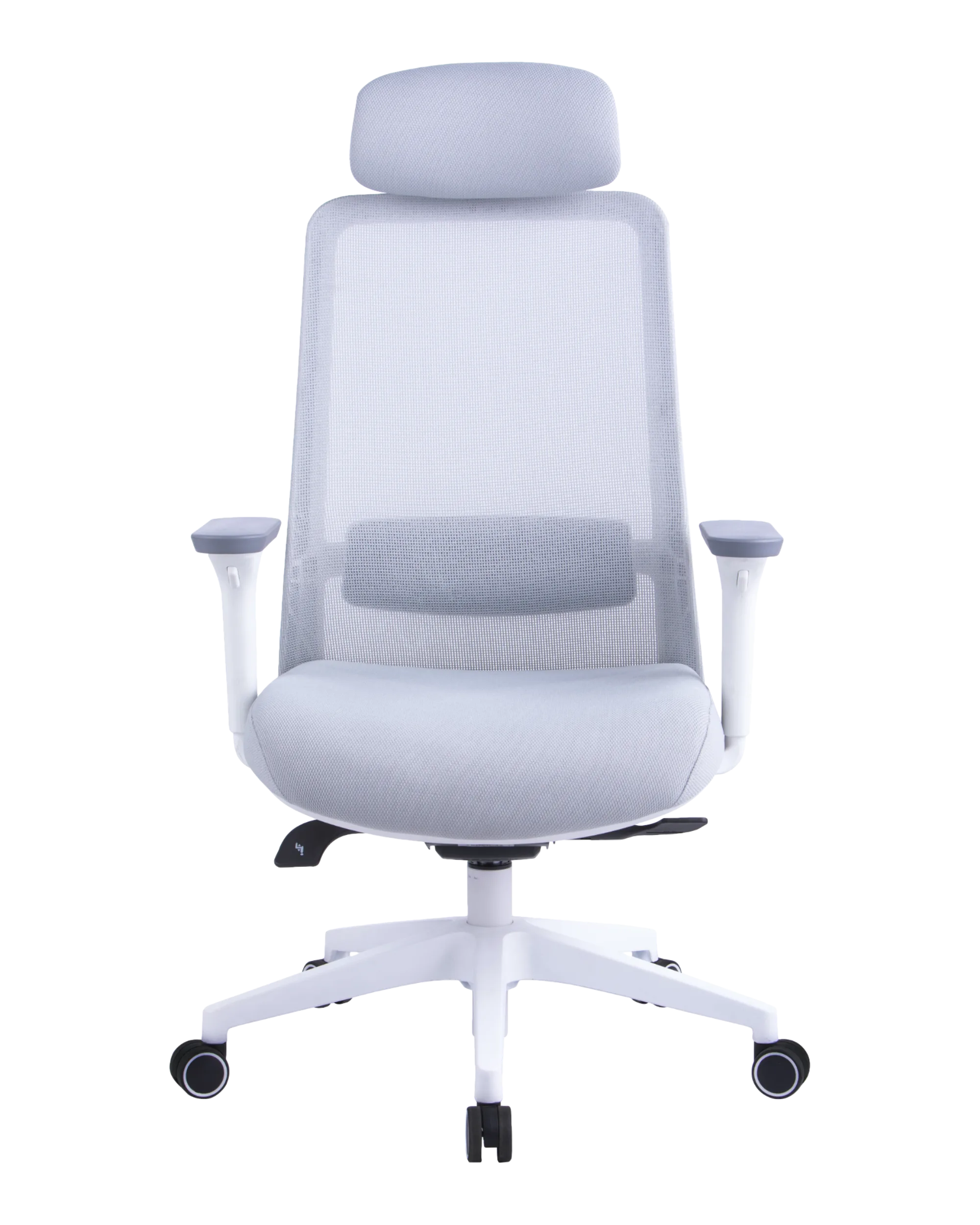 PM02 White-2 | PHAIGINA