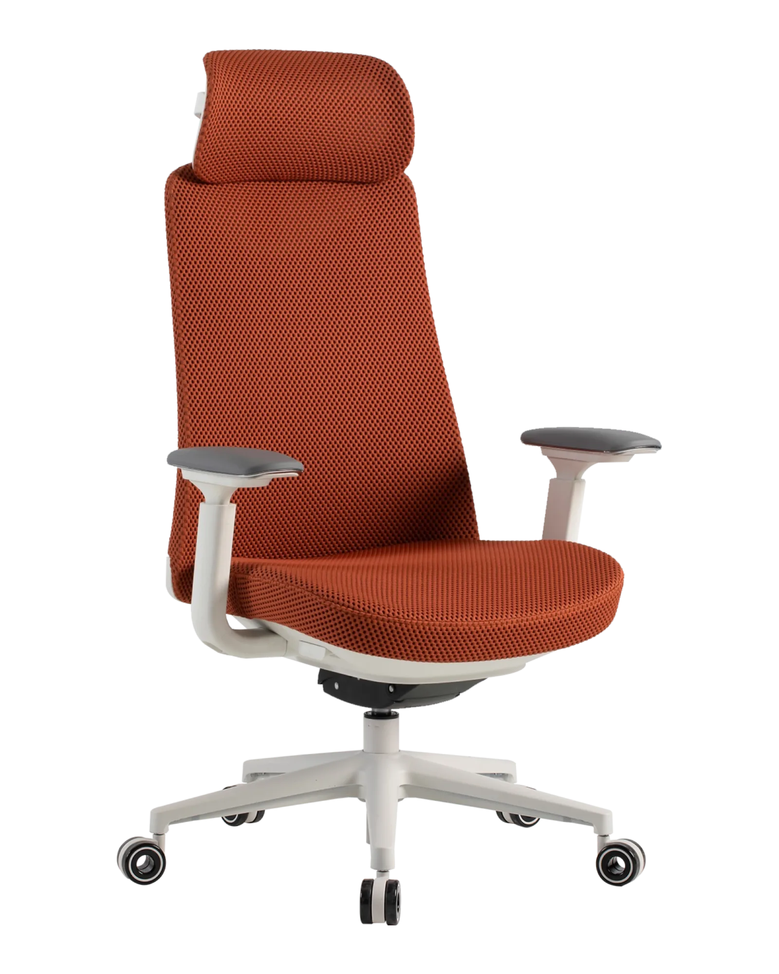 PMF02 Orange-8 | PHAIGINA