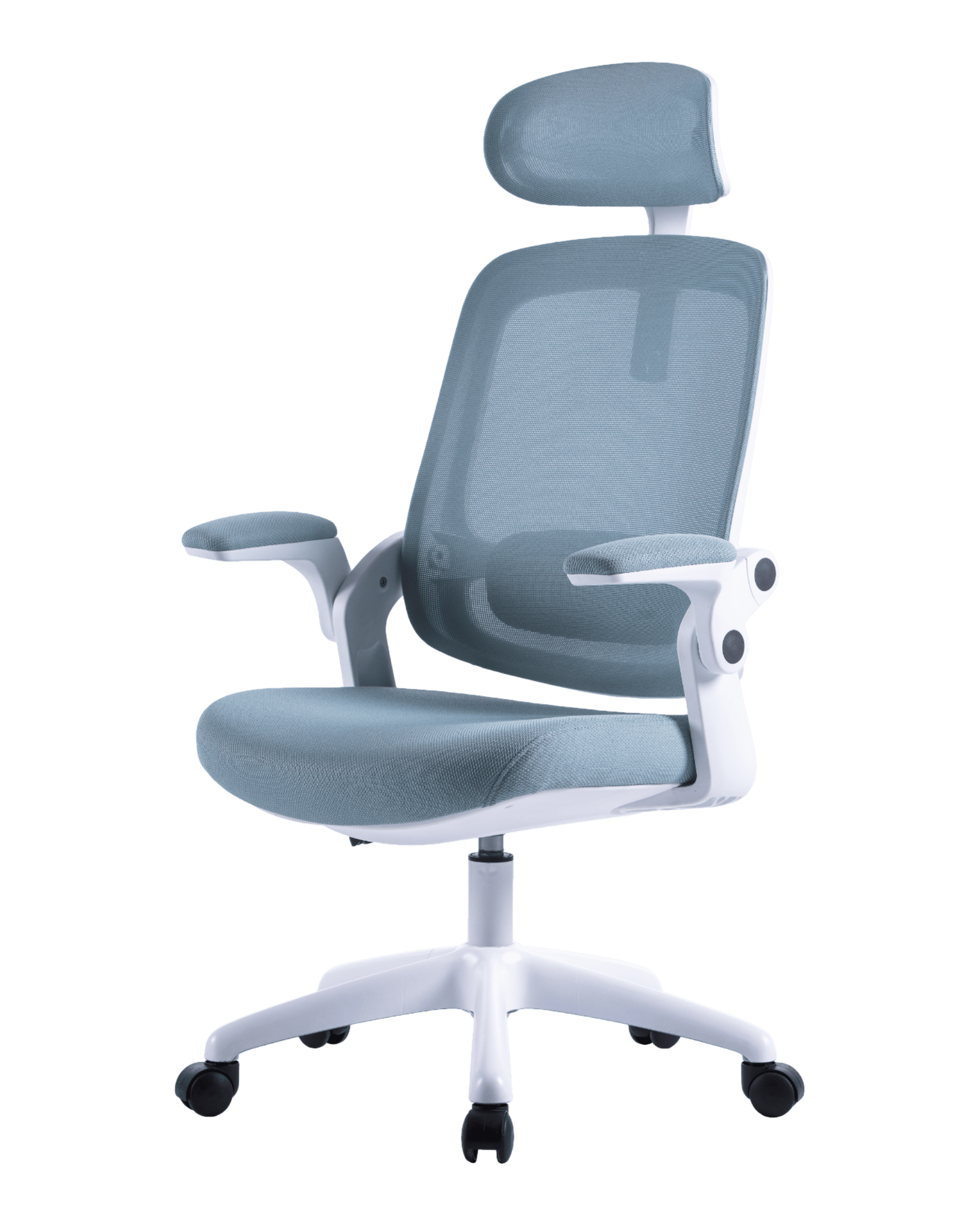 PMS01 Blue-1 - PHAIGINA