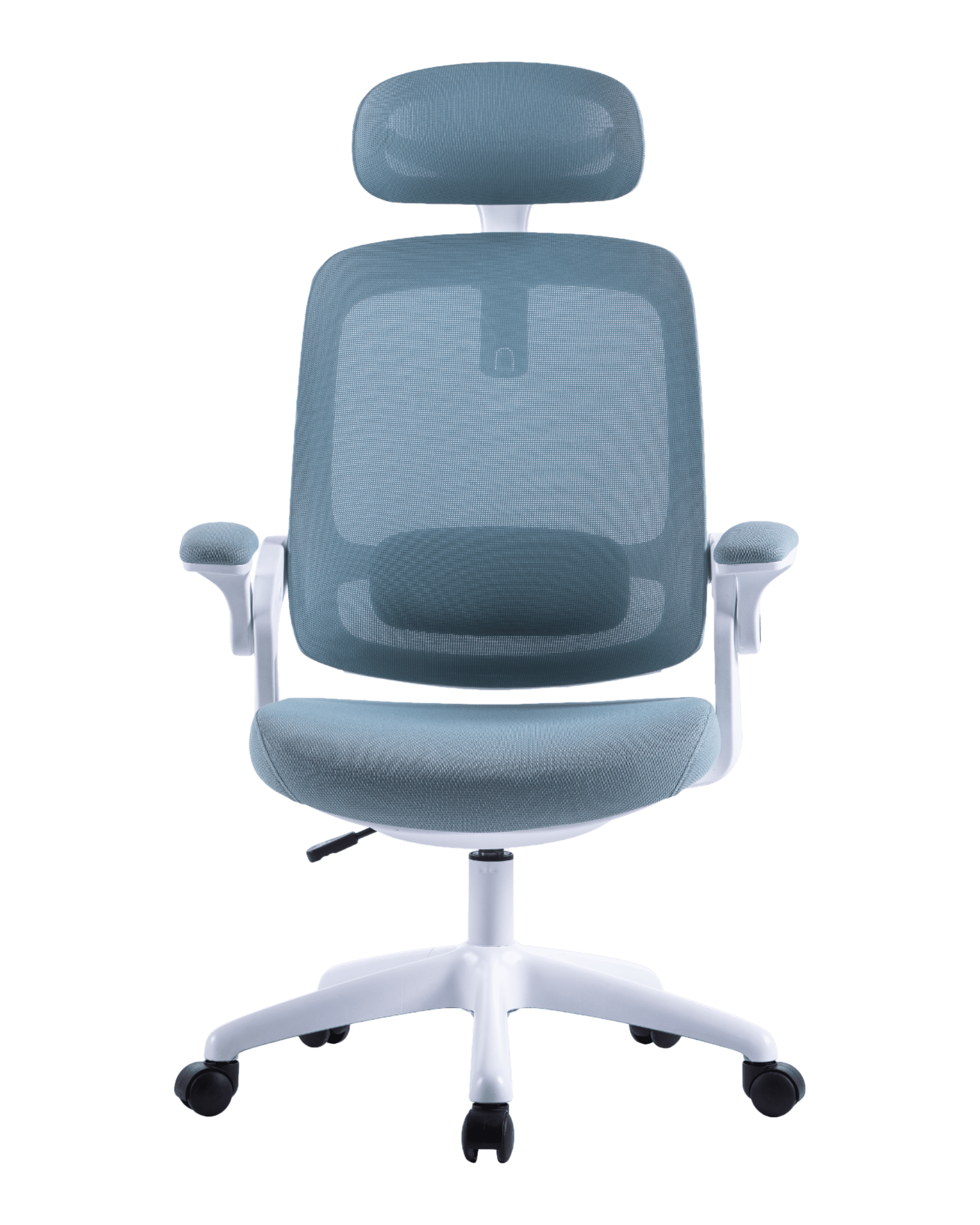 PMS01 Blue-2 - PHAIGINA