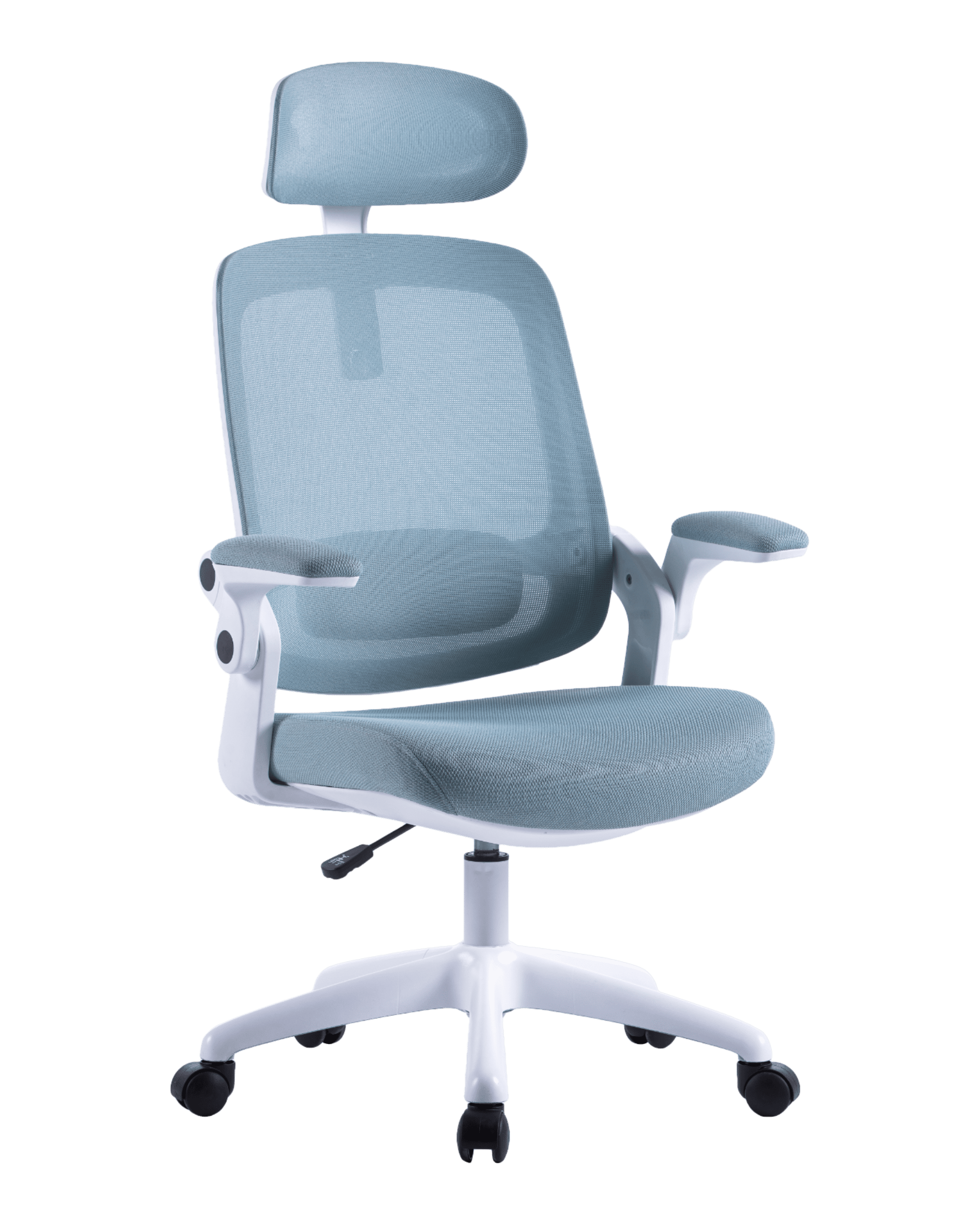 PMS01 Blue-3 - PHAIGINA