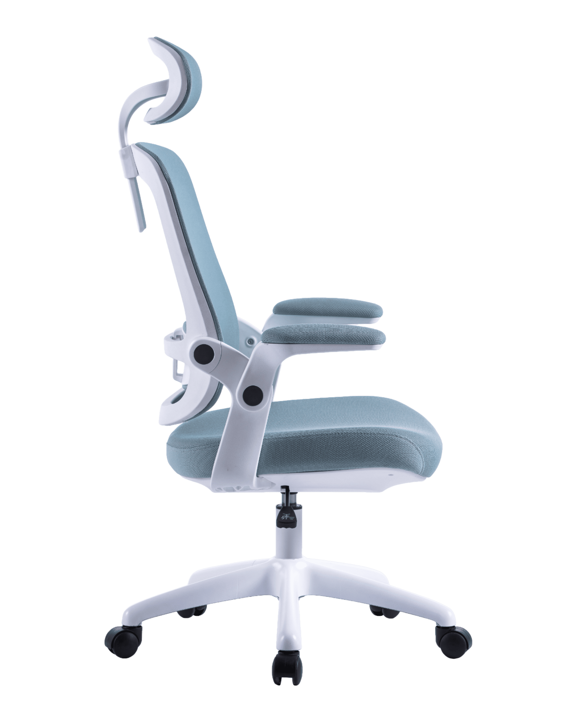 PMS01 Blue-4 - PHAIGINA