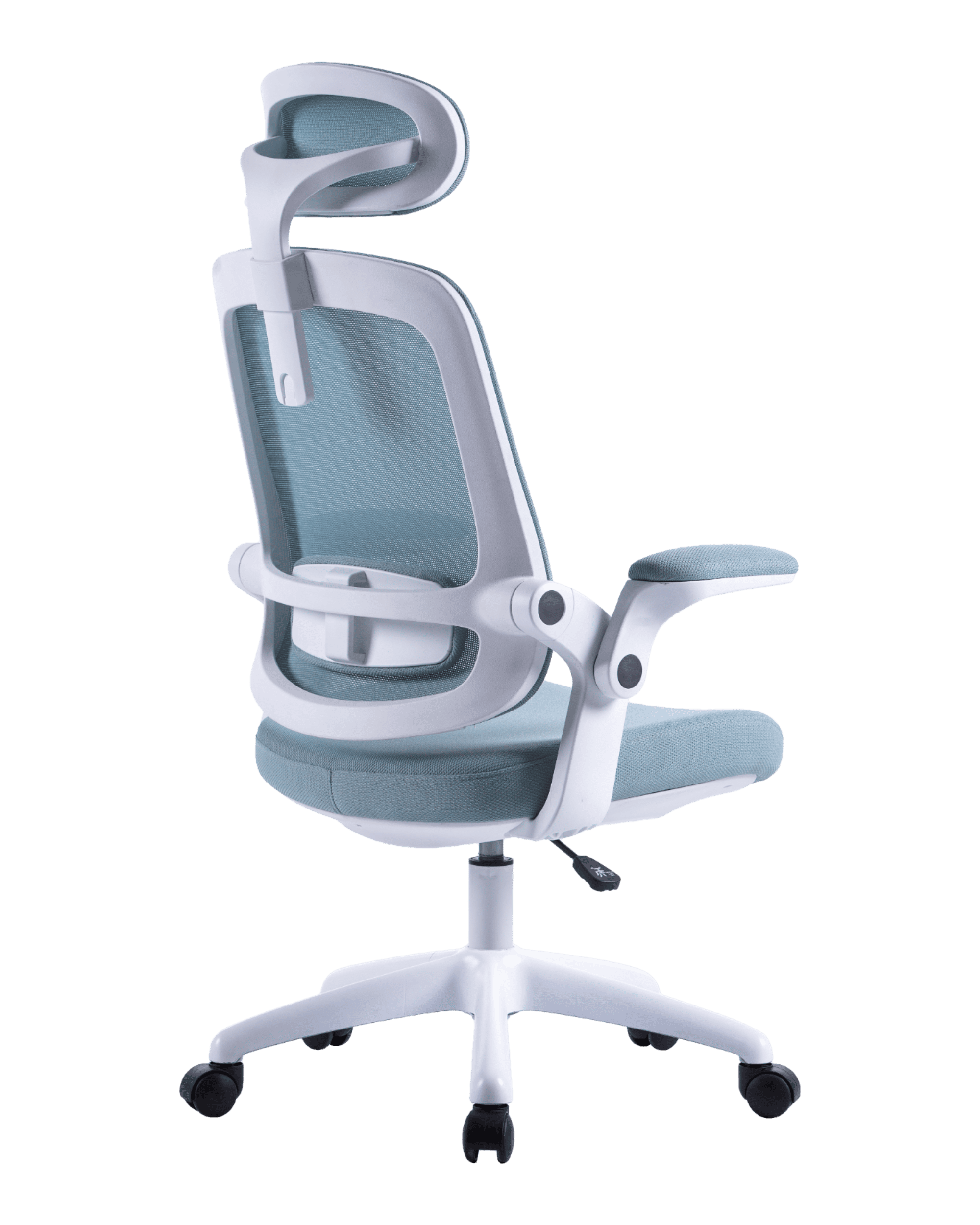 PMS01 Blue-5 - PHAIGINA