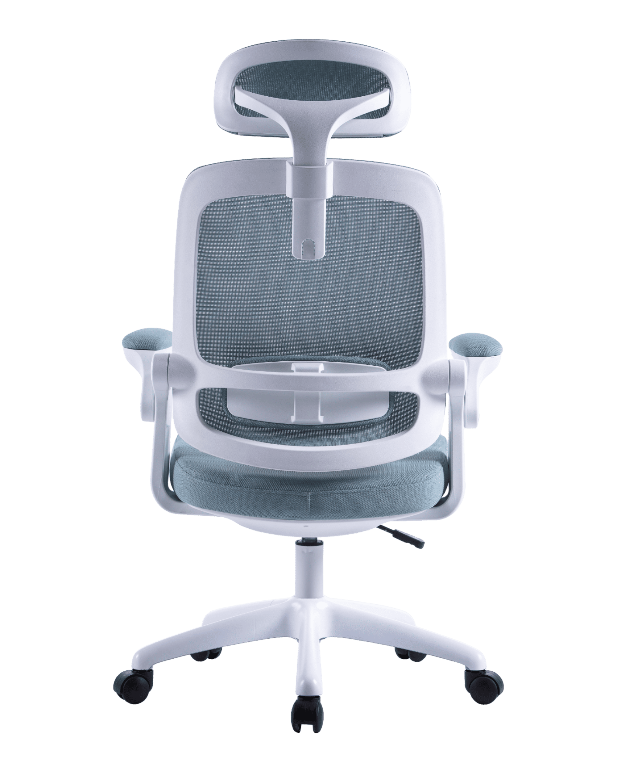 PMS01 Blue-6 - PHAIGINA