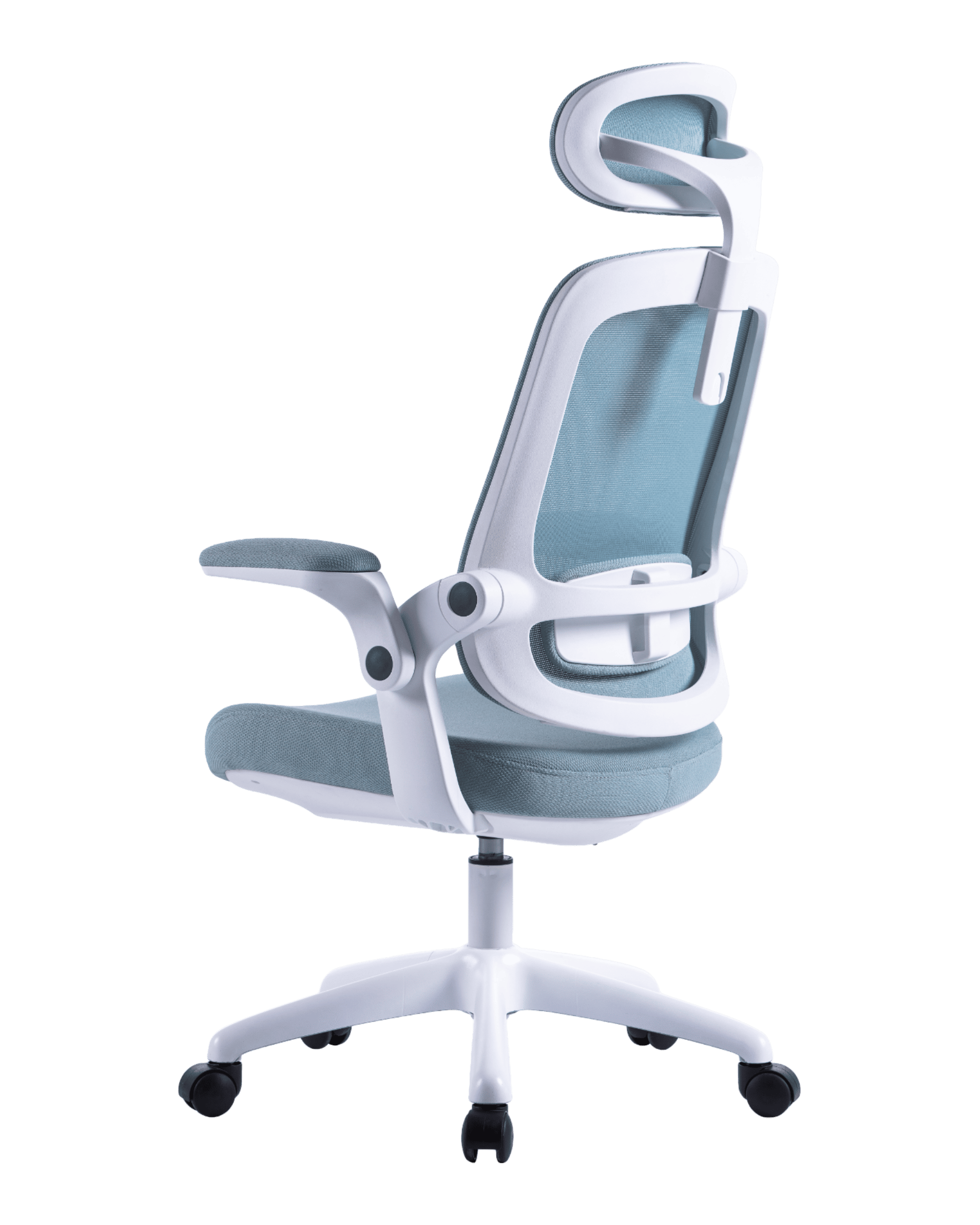 PMS01 Blue-7 - PHAIGINA