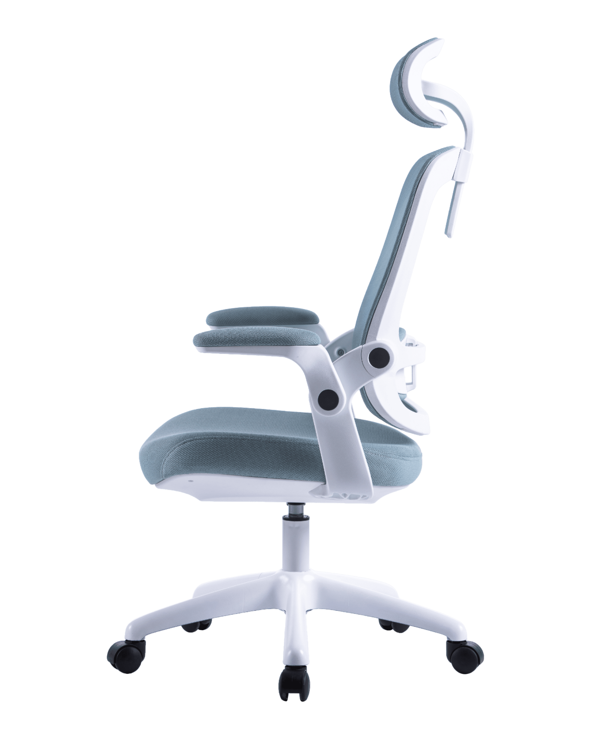 PMS01 Blue-8 - PHAIGINA