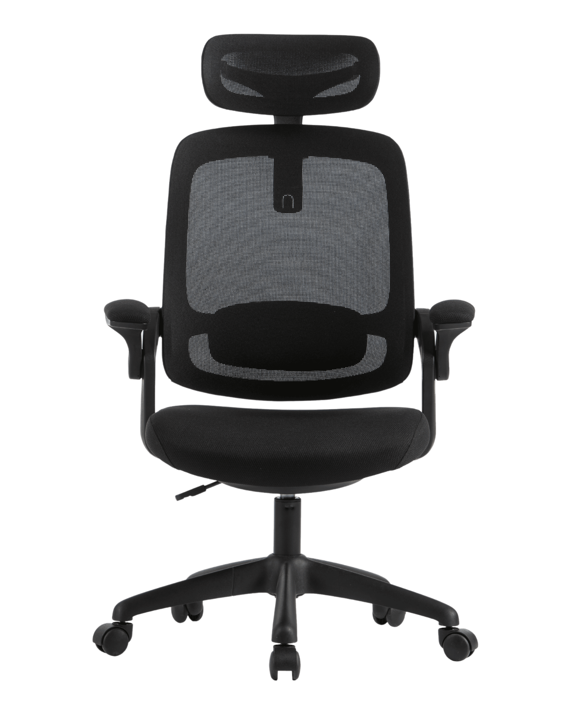 PMS01 Black-2 - PHAIGINA