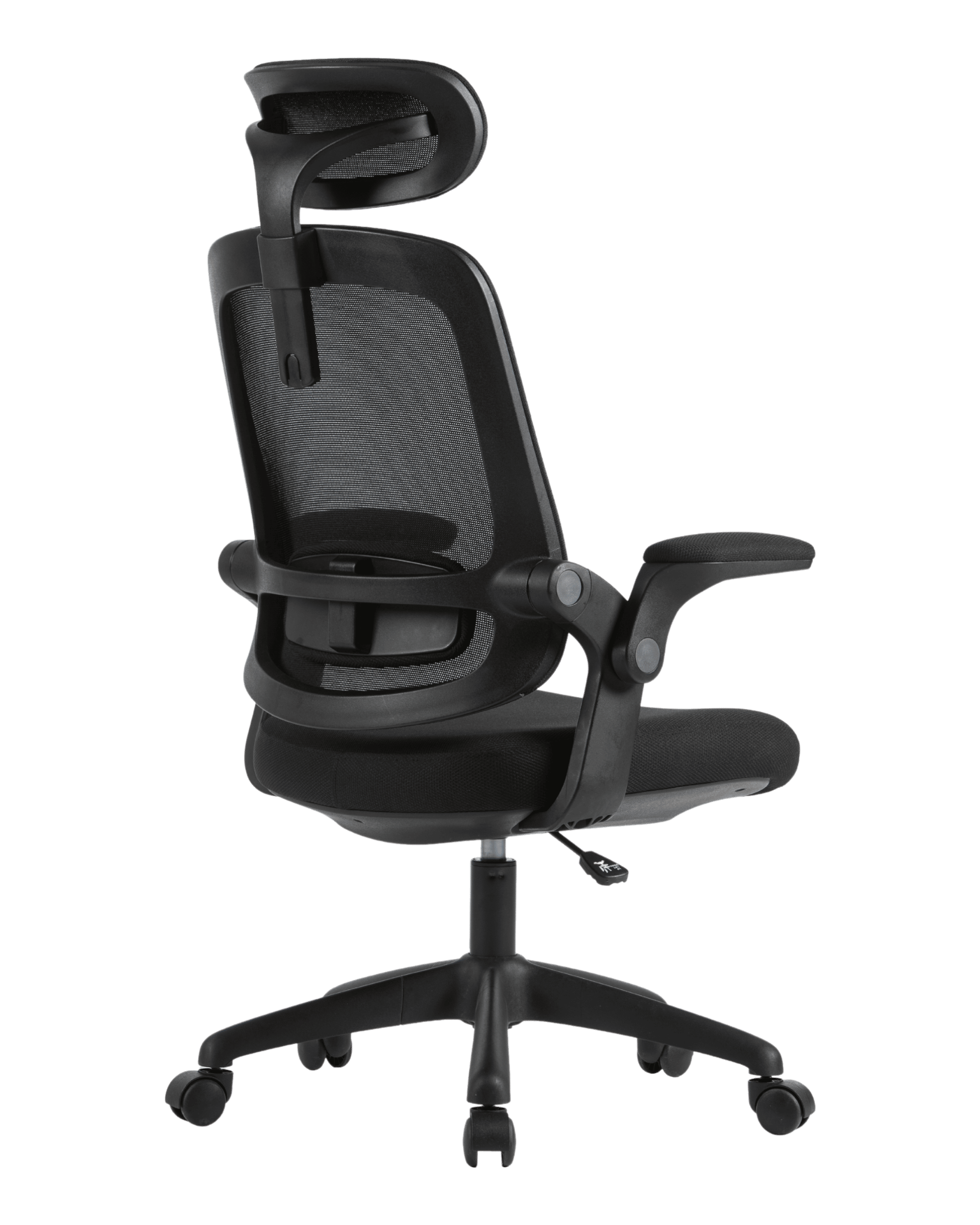 PMS01 Black-5 - PHAIGINA