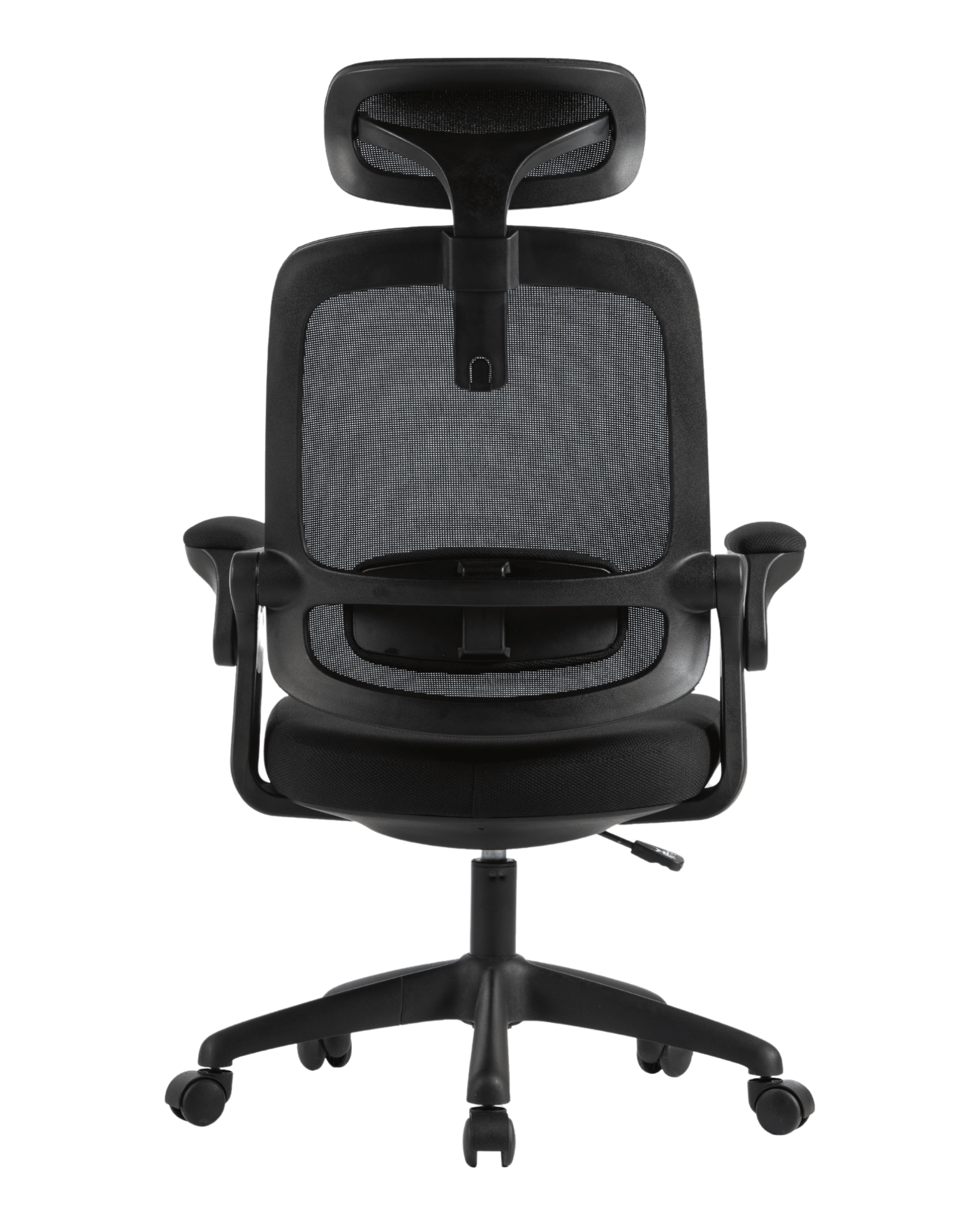 PMS01 Black-6 - PHAIGINA