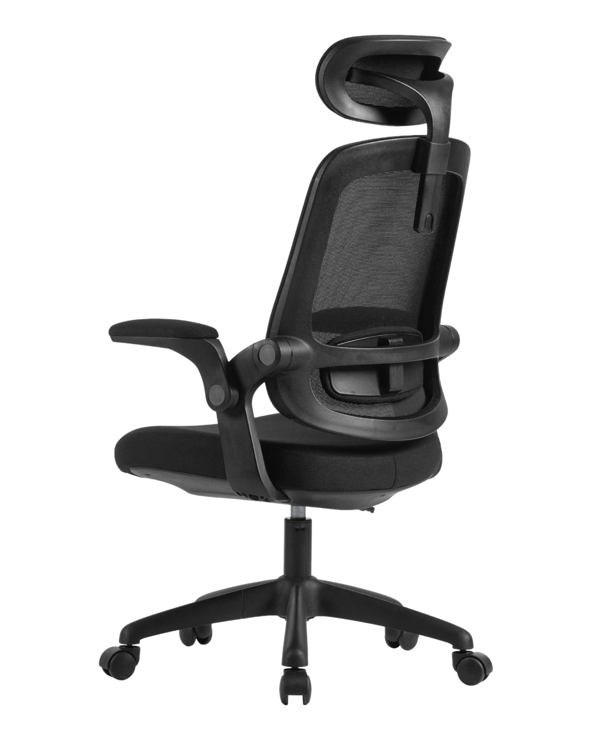 PMS01 Black-7 - PHAIGINA