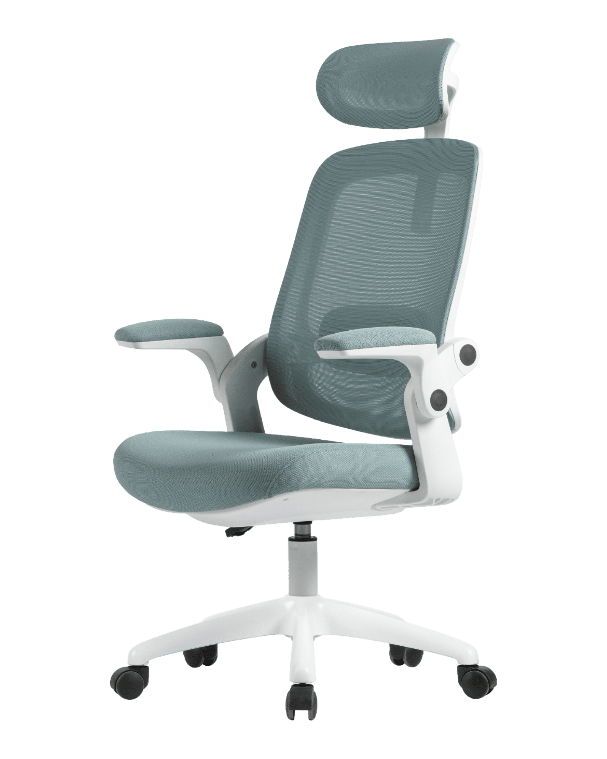 PMS01 Green-1 - PHAIGINA