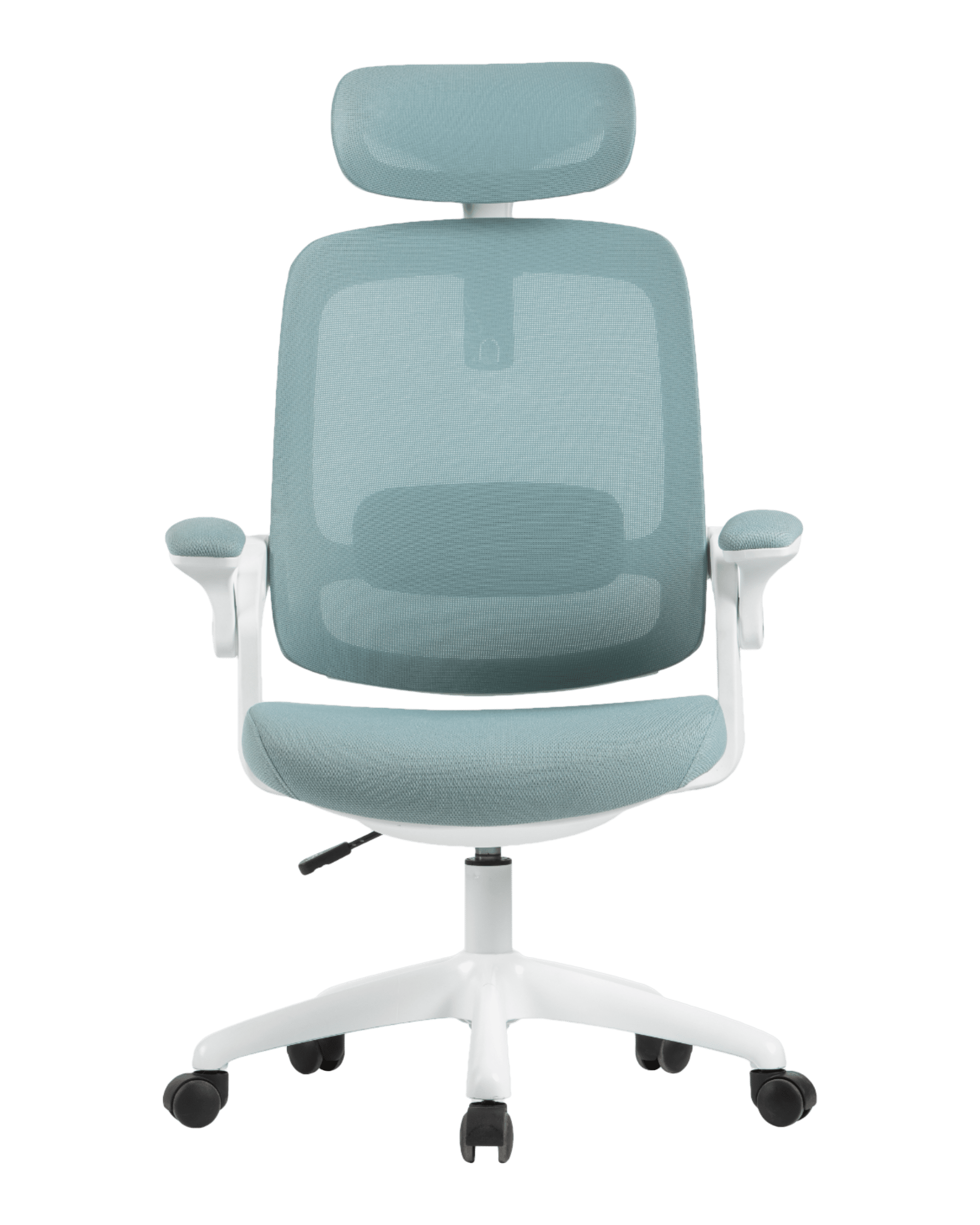 PMS01 Green-2 - PHAIGINA