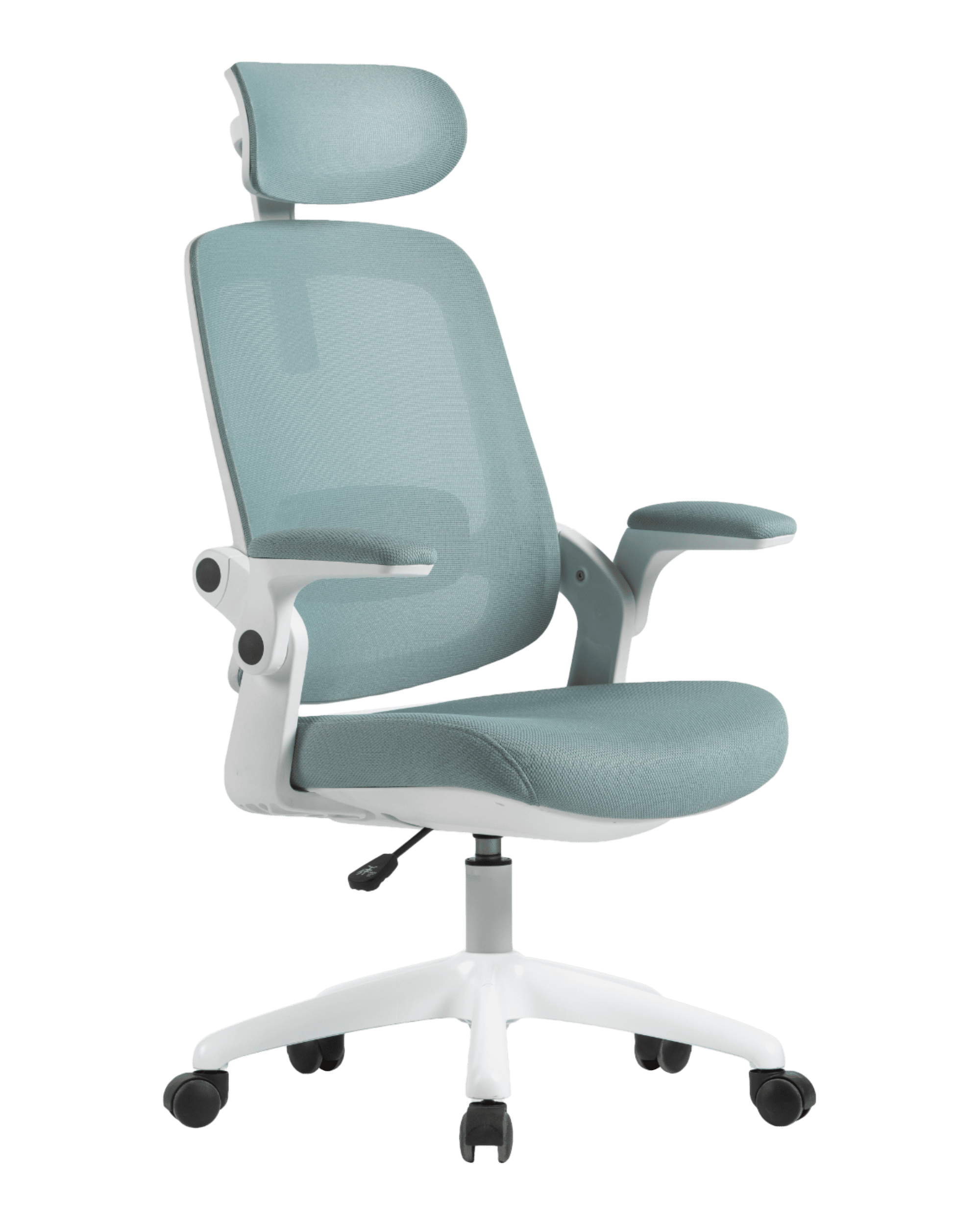 PMS01 Green-3 - PHAIGINA