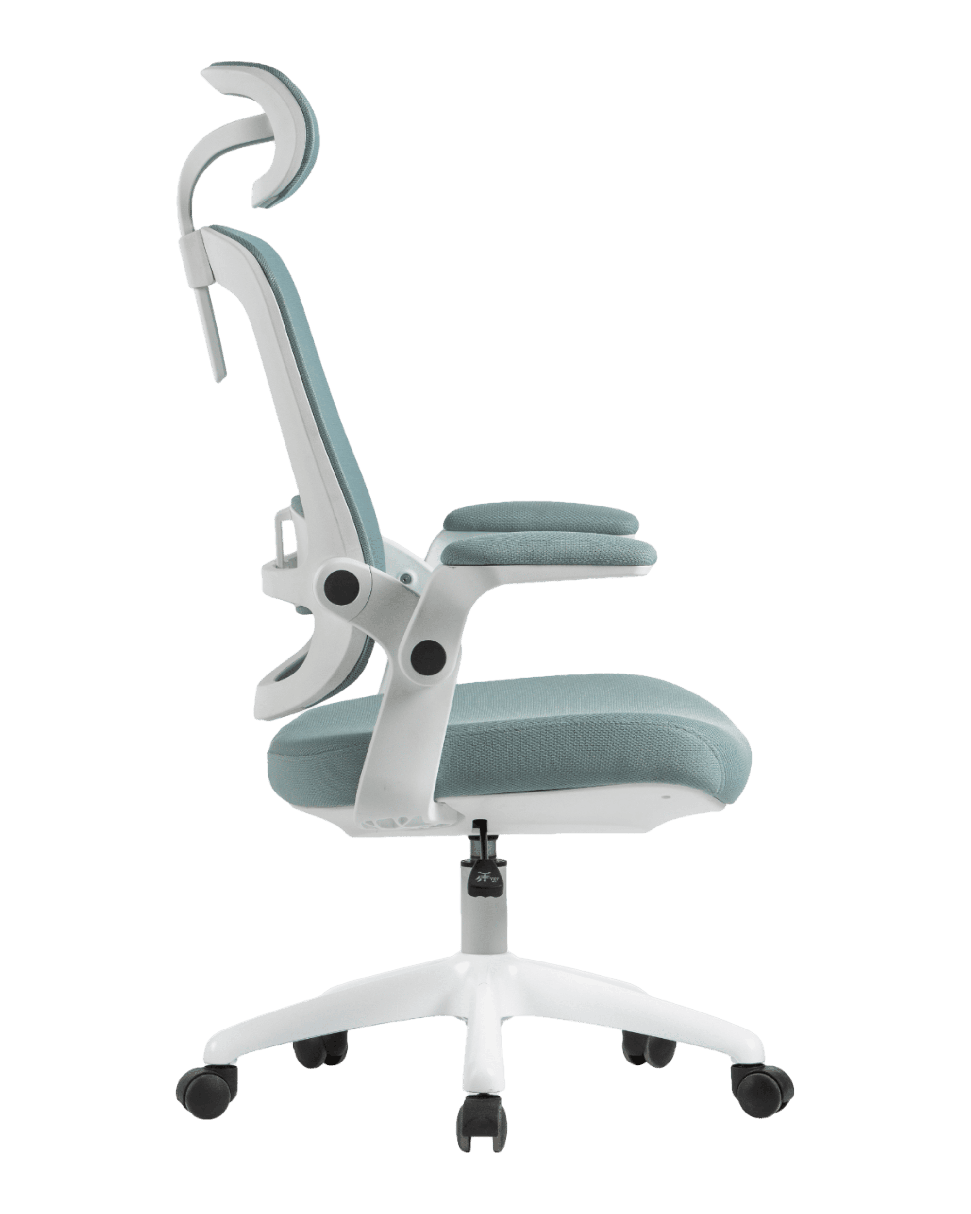 PMS01 Green-4 - PHAIGINA