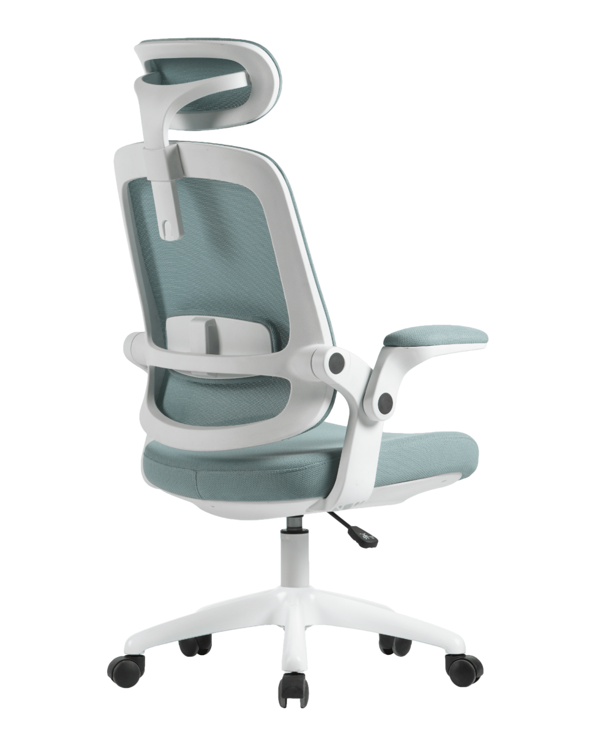 PMS01 Green-5 - PHAIGINA