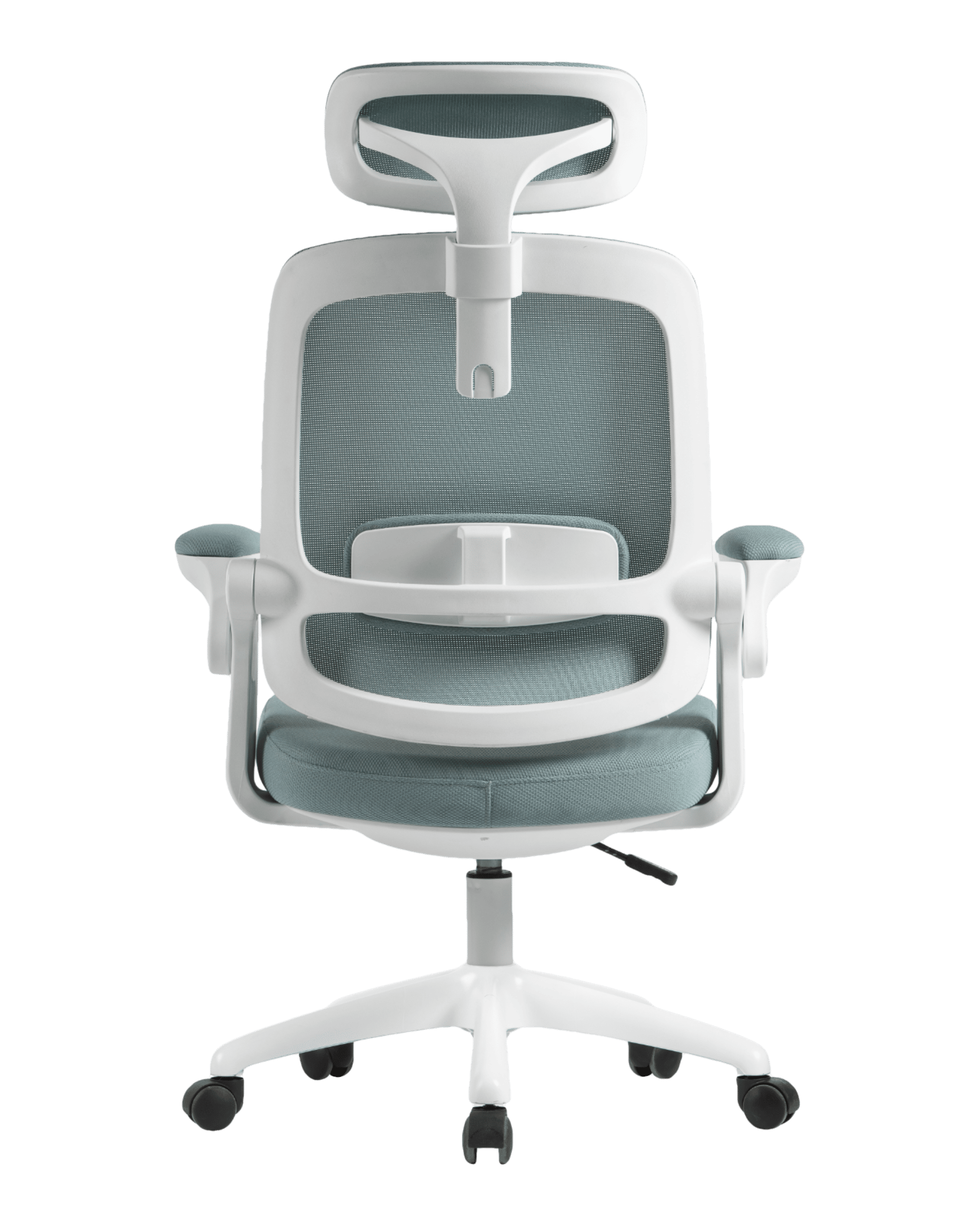 PMS01 Green-6 - PHAIGINA