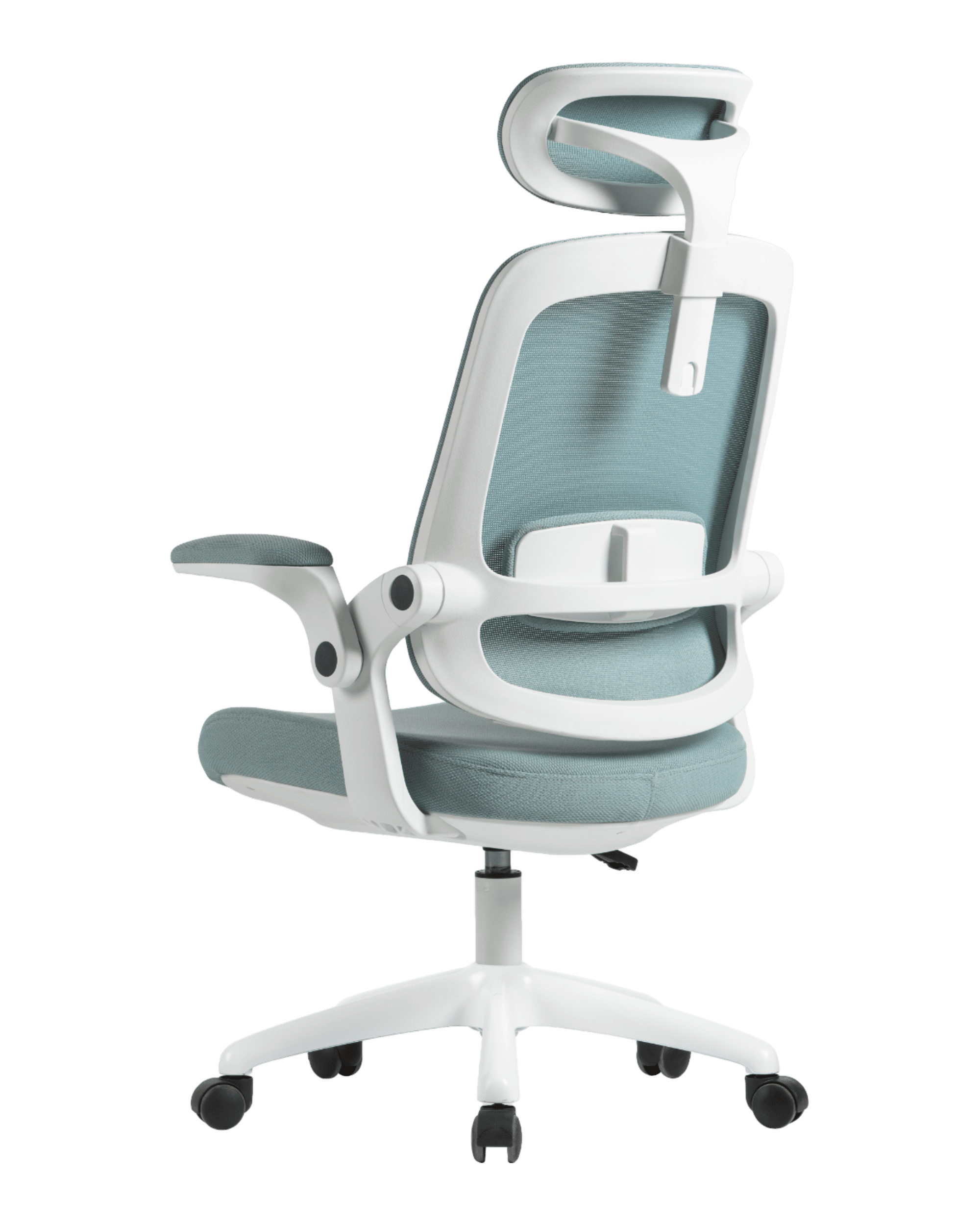 PMS01 Green-7 - PHAIGINA