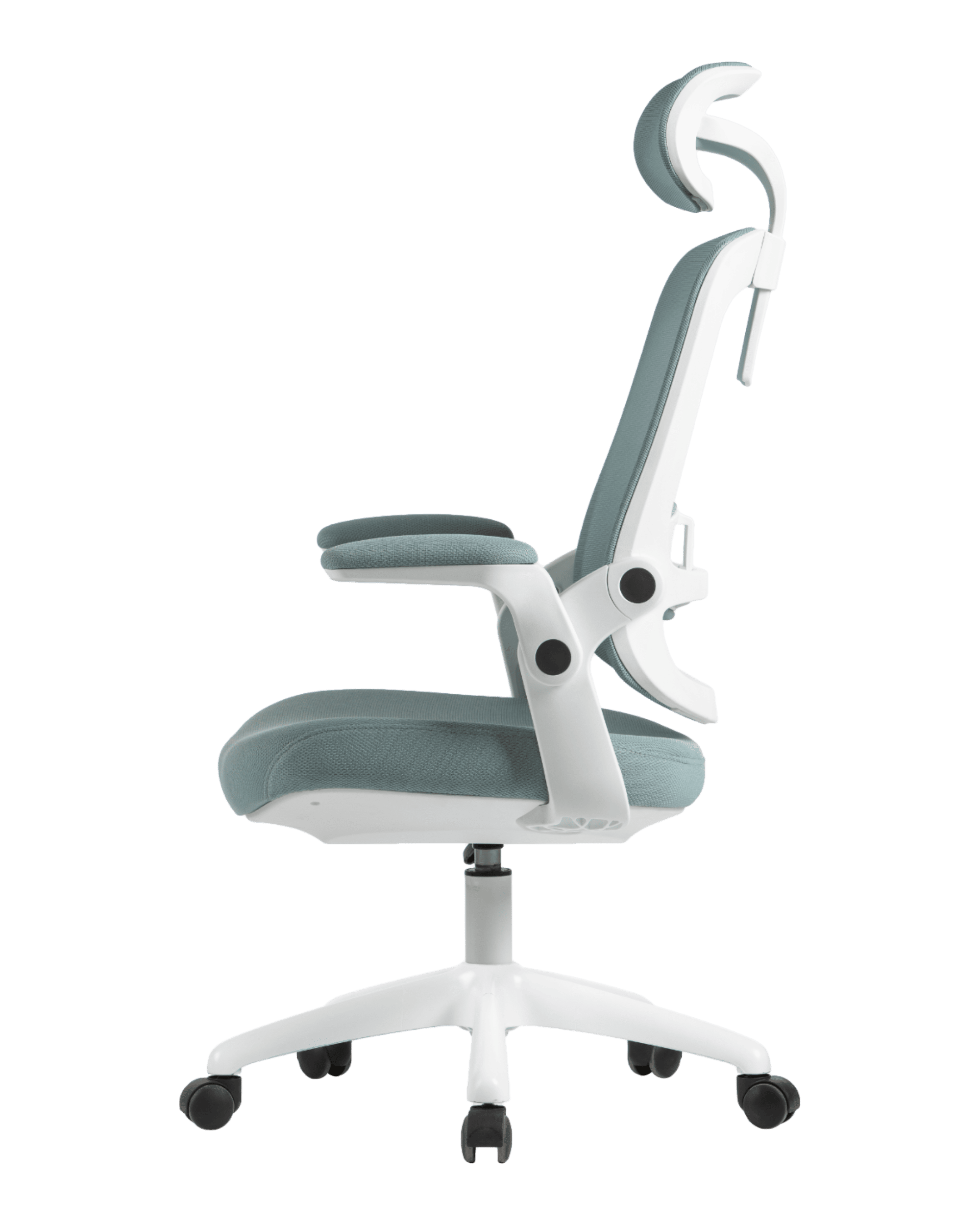 PMS01 Green-8 - PHAIGINA