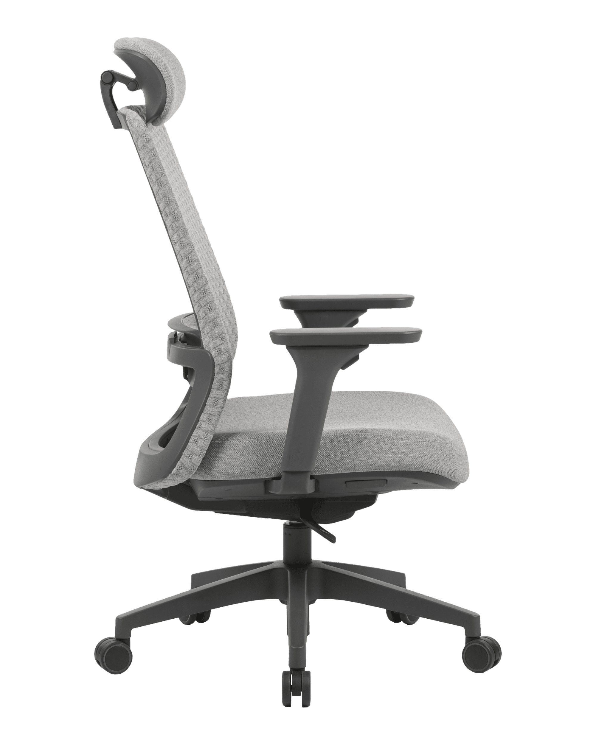 PMM01 Gray-4 - PHAIGINA