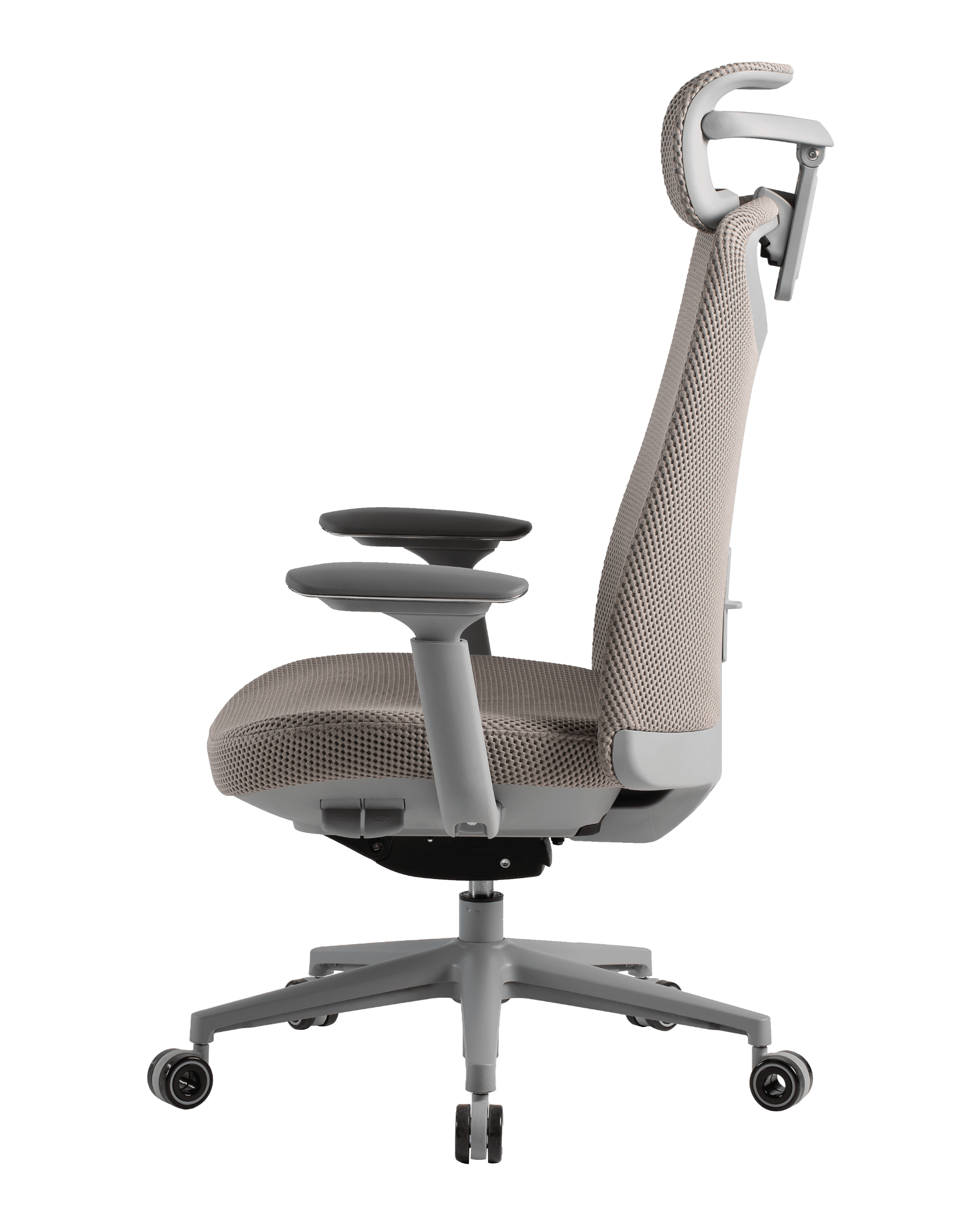 PMM02 Gray-7 - PHAIGINA