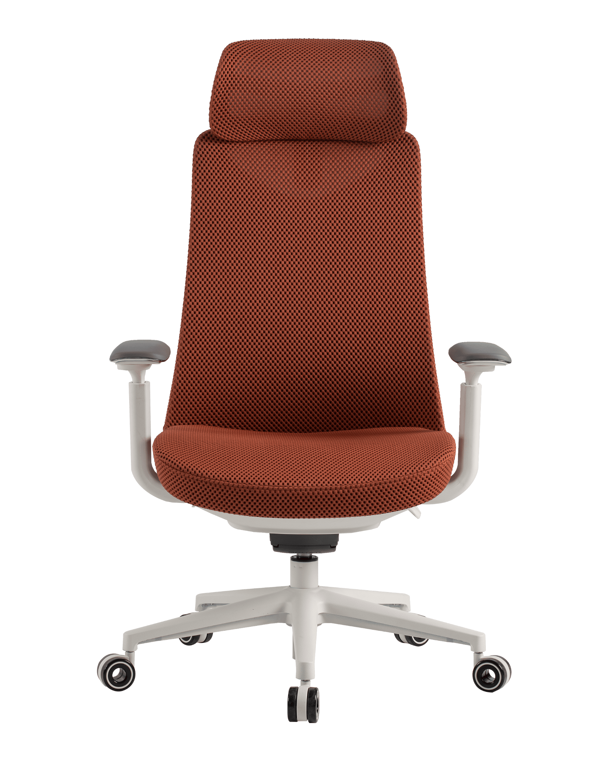 PMM02 Orange-1 - PHAIGINA