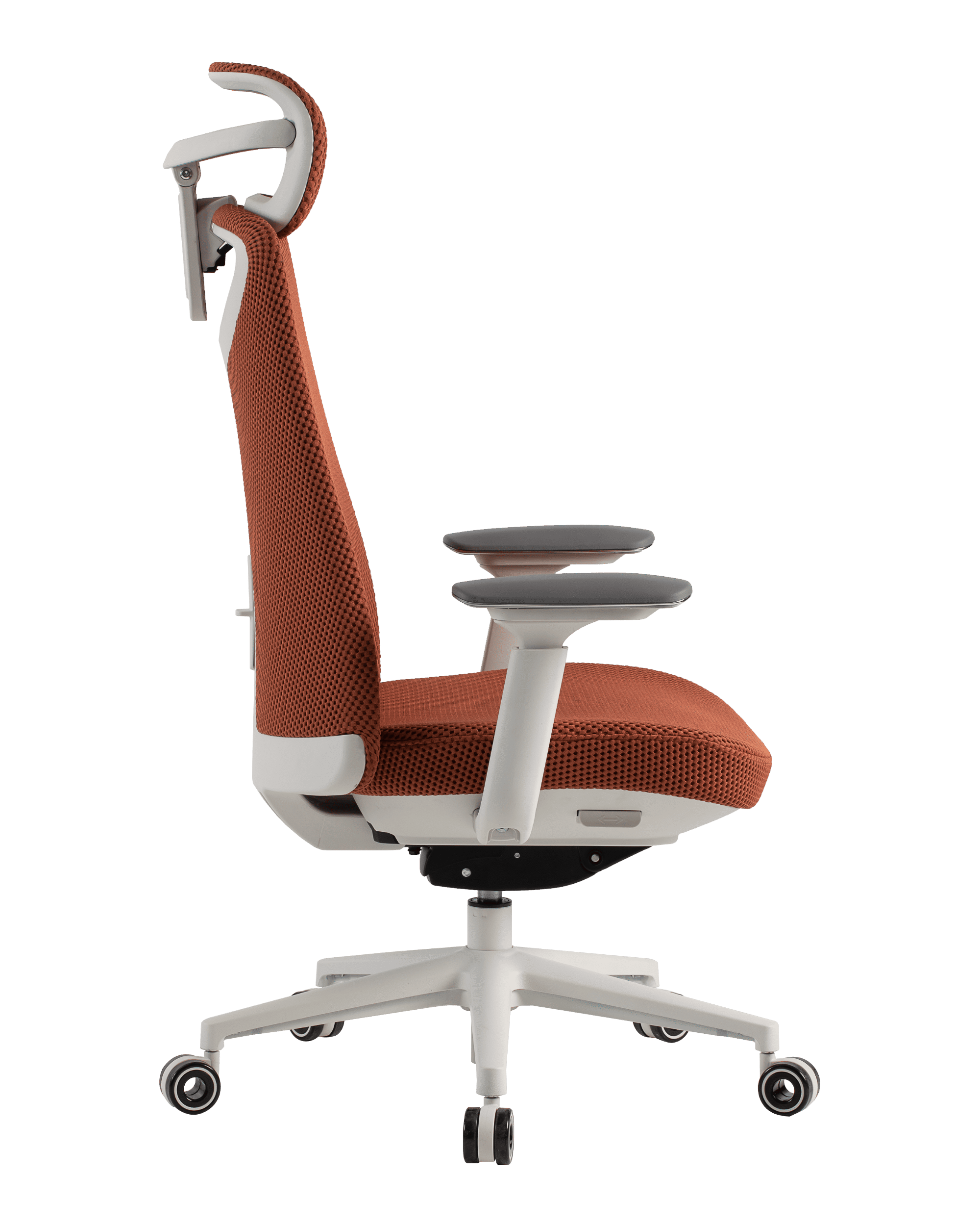 PMM02 Orange-3 - PHAIGINA