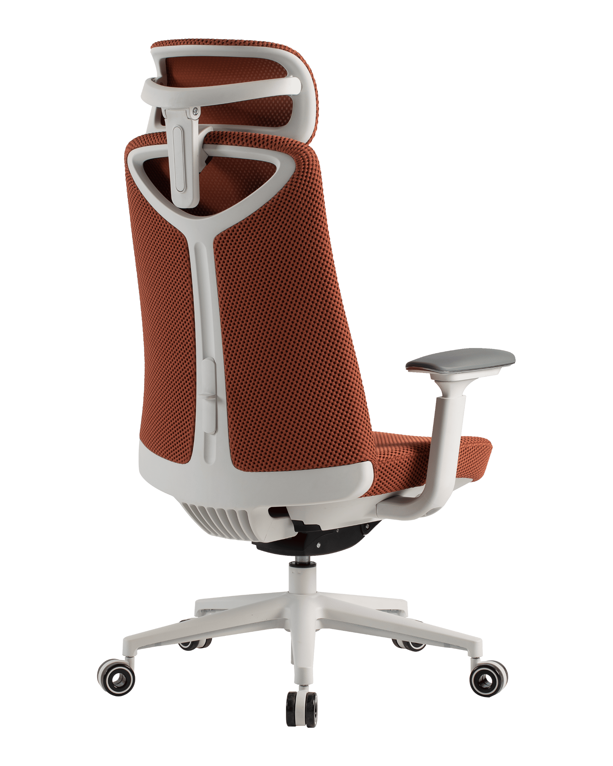 PMM02 Orange-4 - PHAIGINA