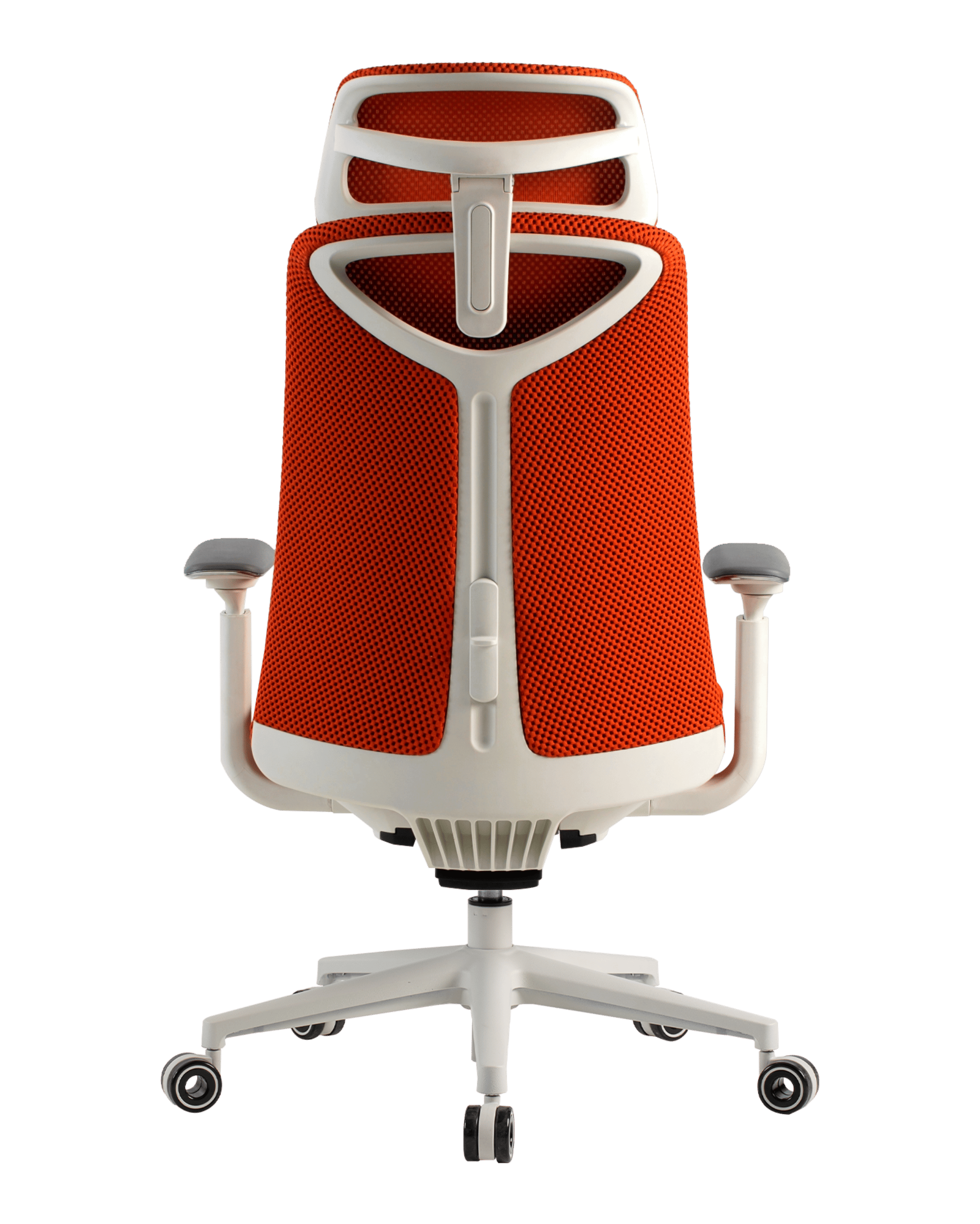 PMM02 Orange-5 - PHAIGINA