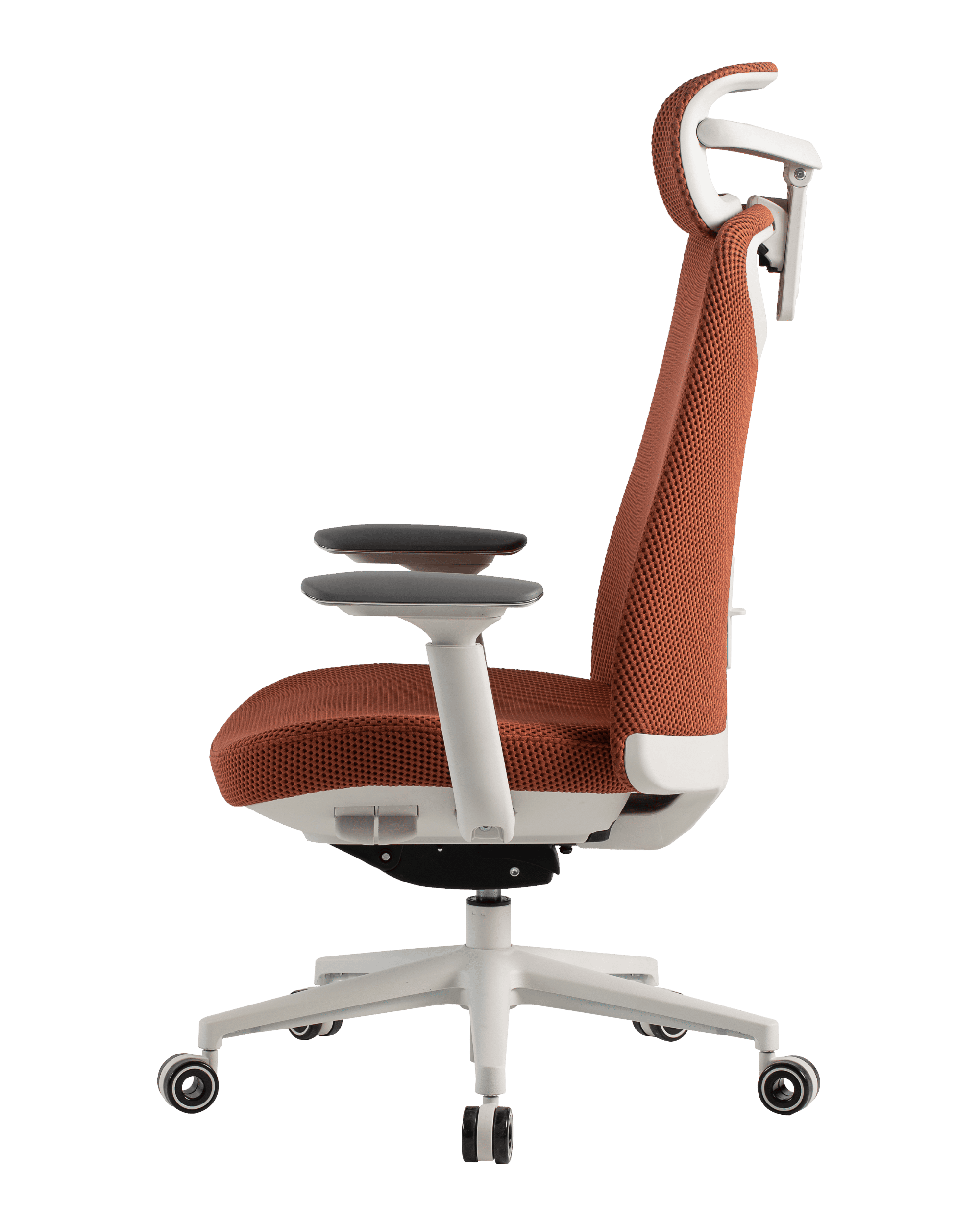 PMM02 Orange-7 - PHAIGINA