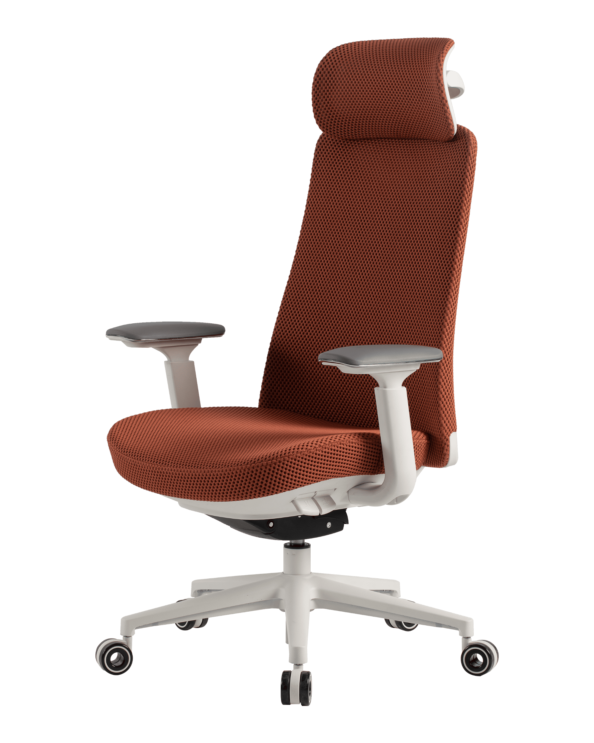 PMM02 Orange-8 - PHAIGINA