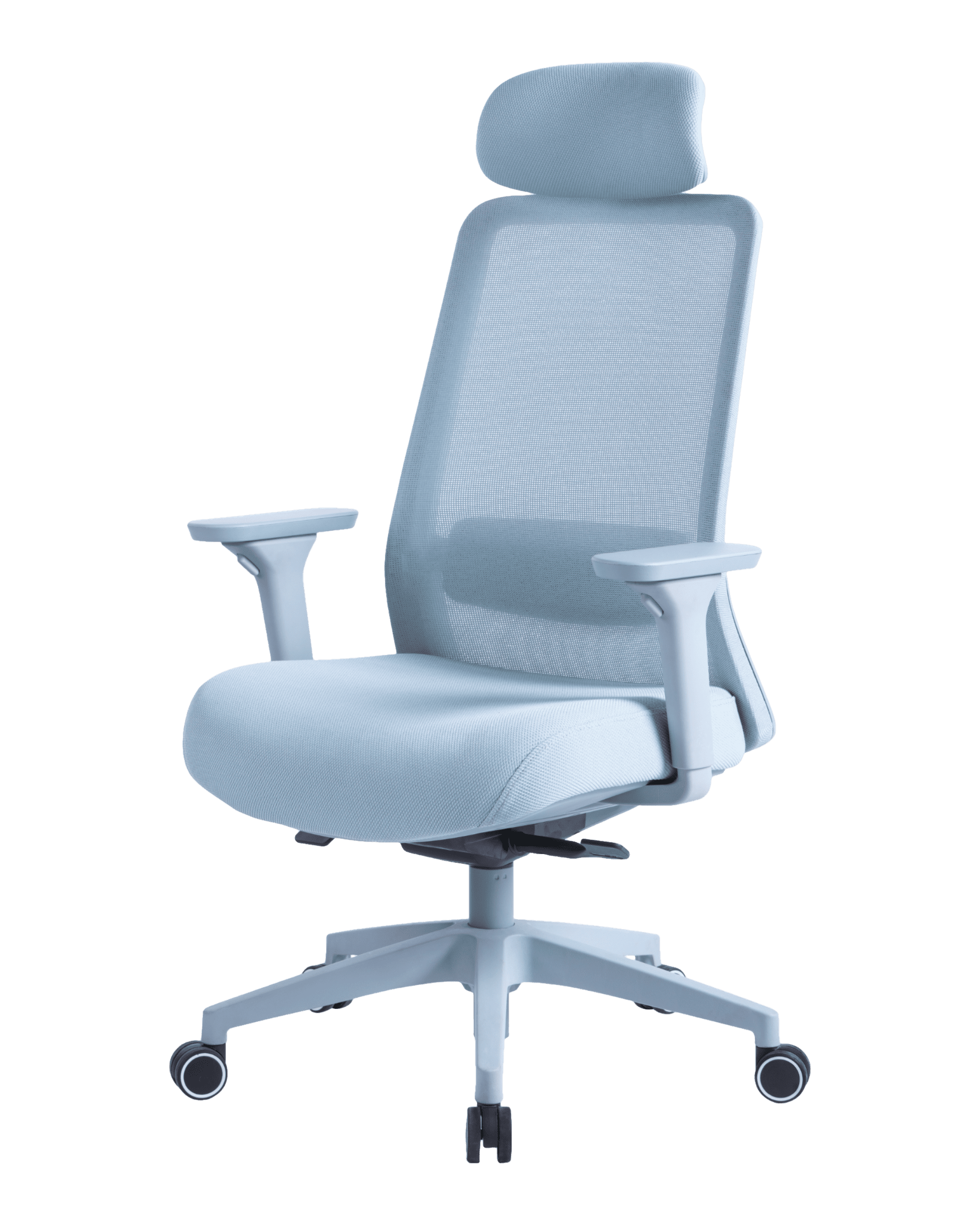 PMS02 Blue-1 - PHAIGINA