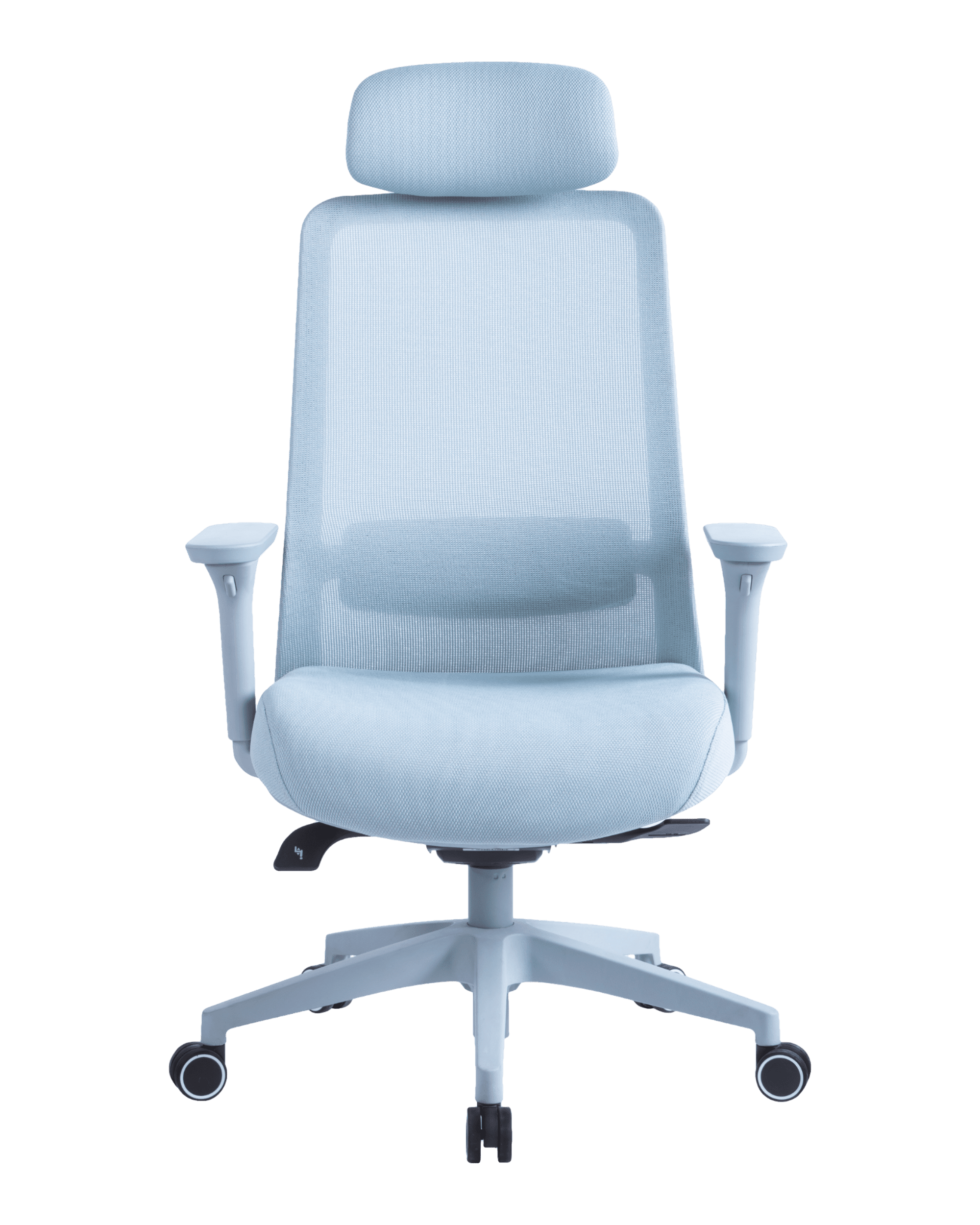 PMS02 Blue-2 - PHAIGINA