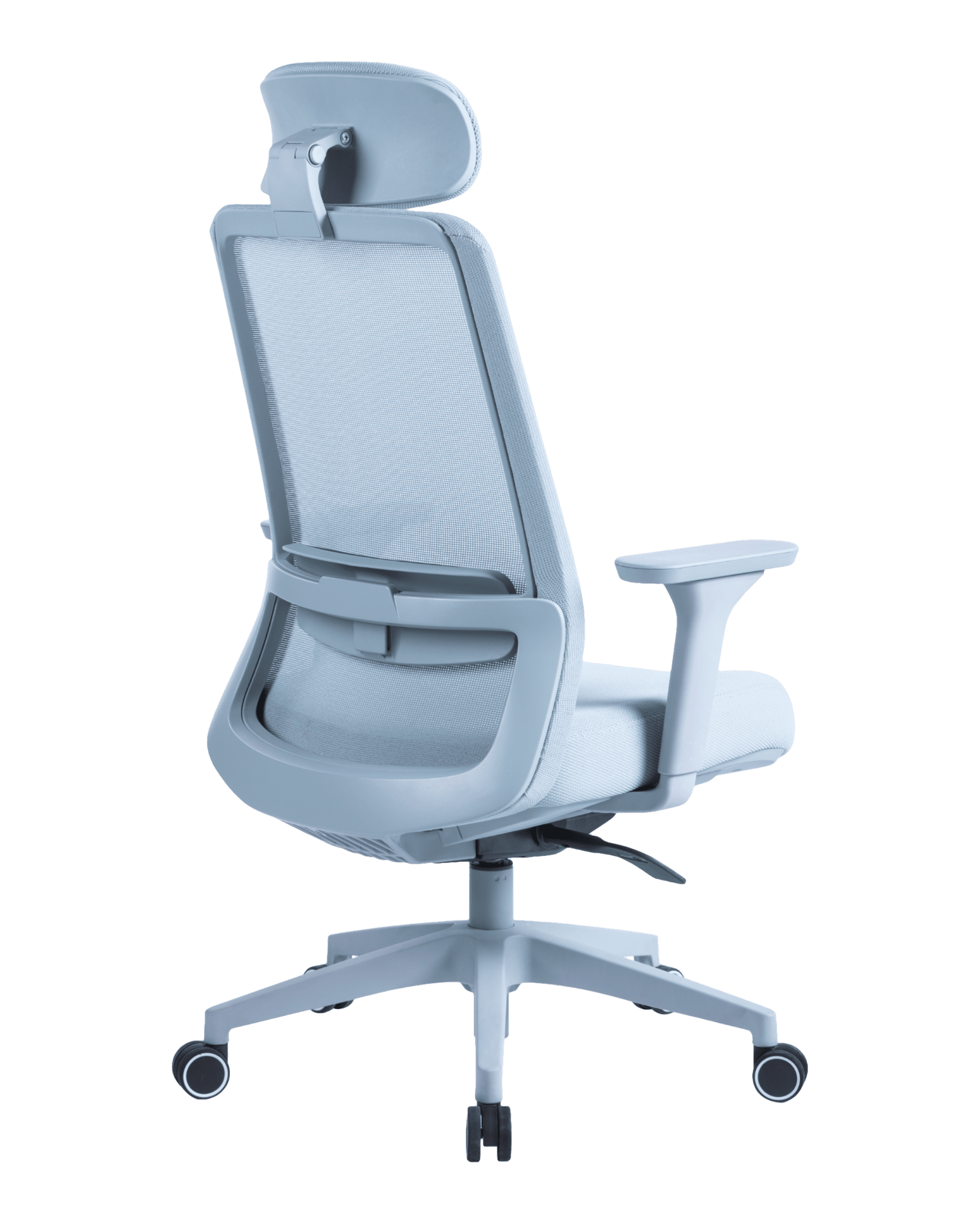 PMS02 Blue-5 - PHAIGINA