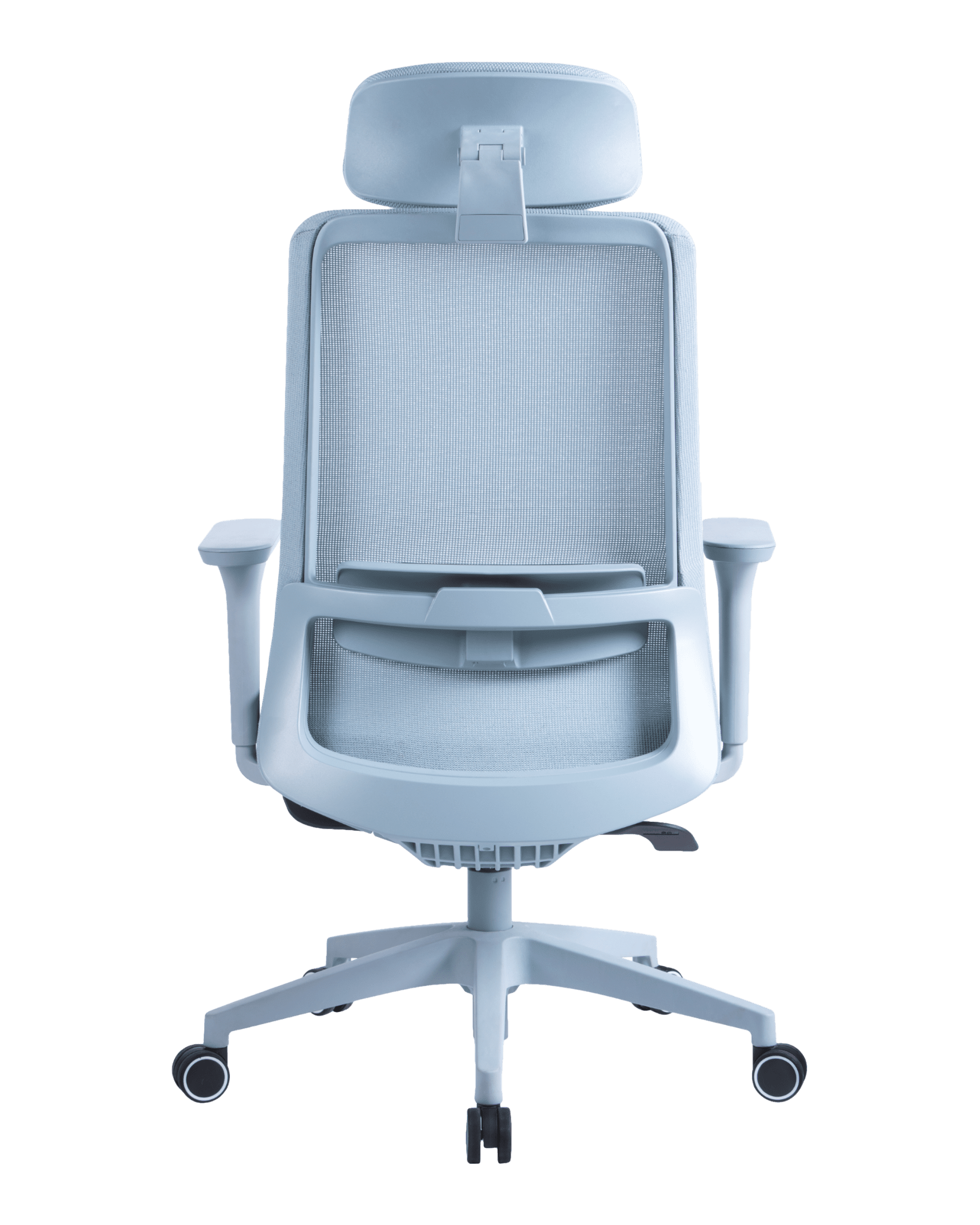 PMS02 Blue-6 - PHAIGINA