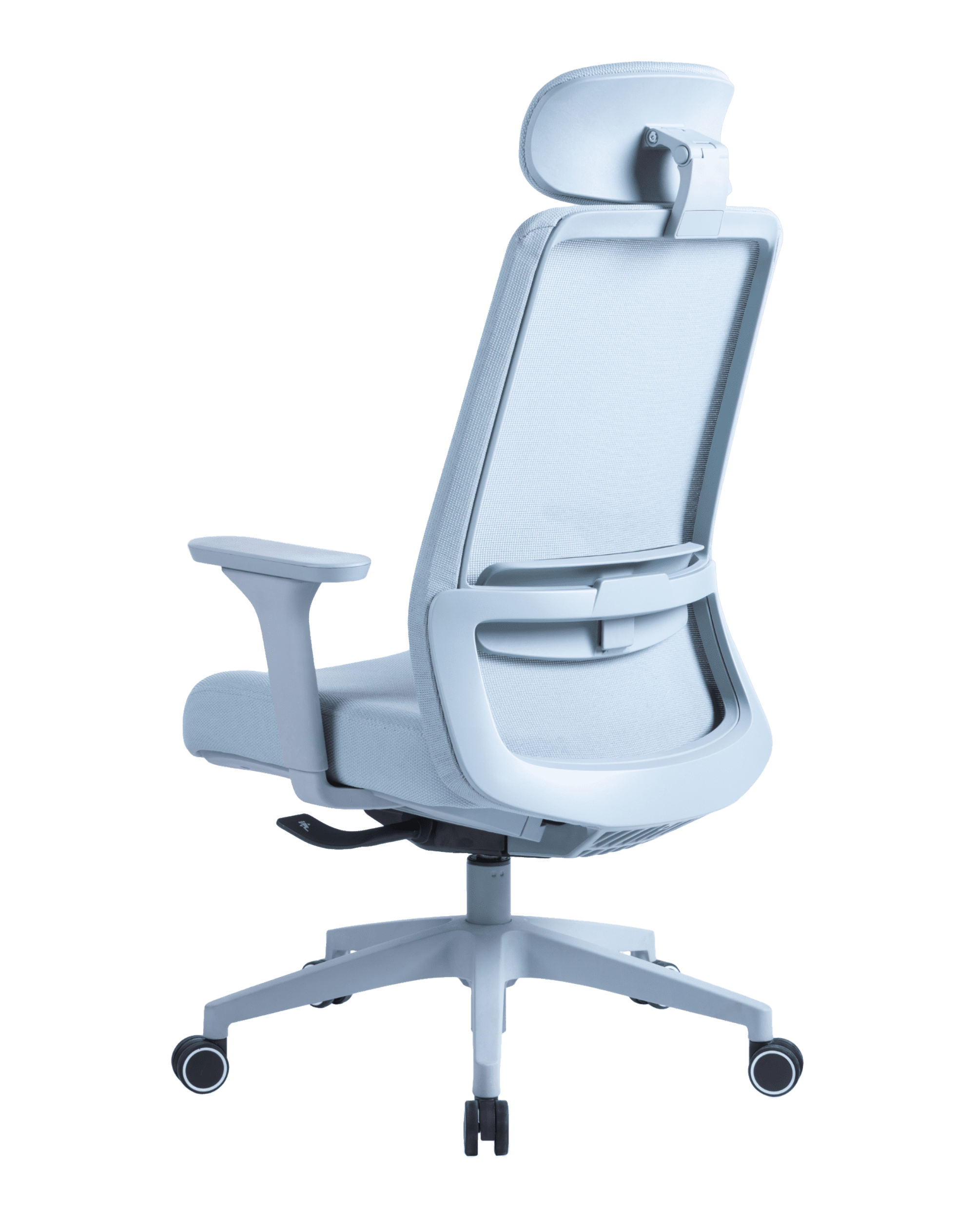 PMS02 Blue-7 - PHAIGINA